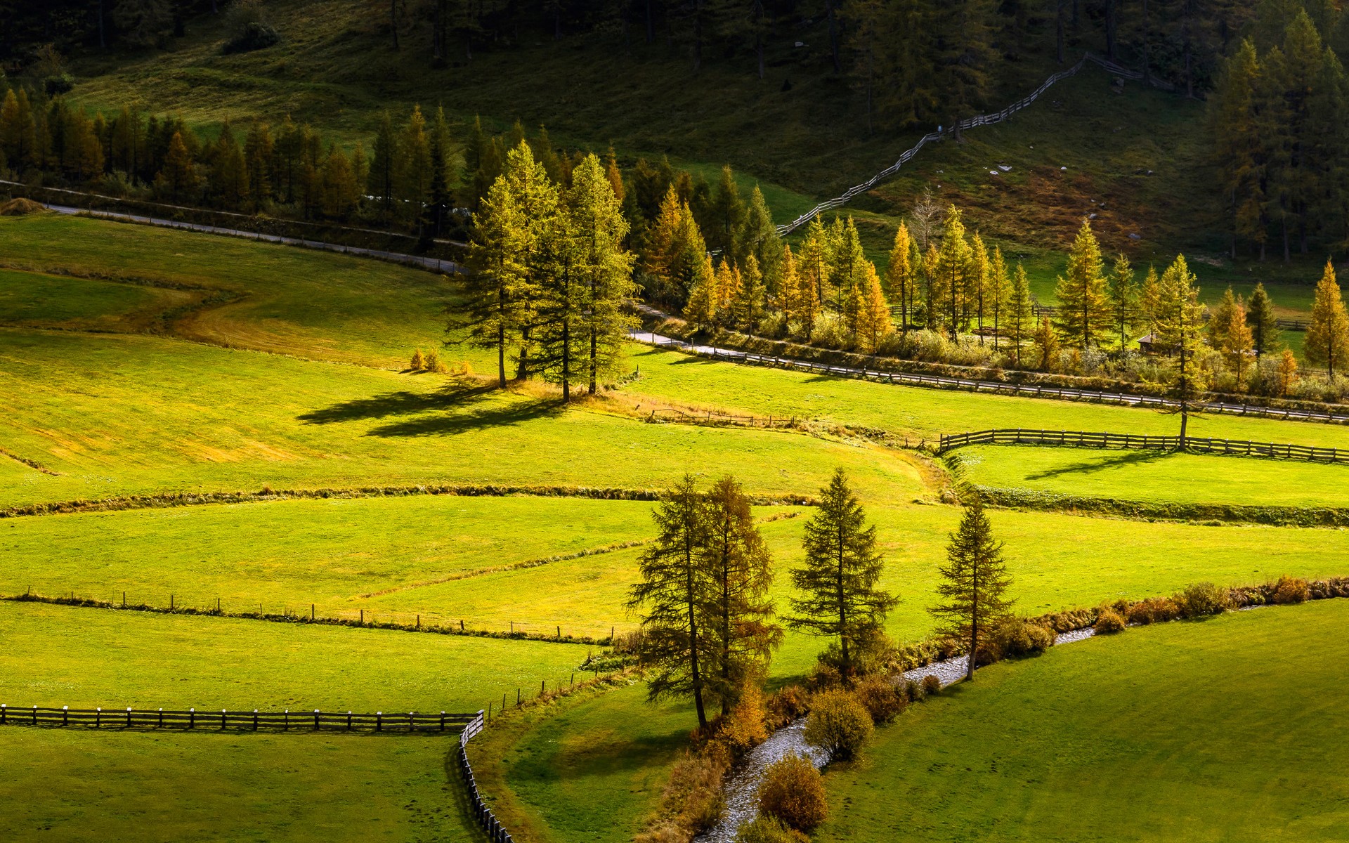 Green fields with trees and a stream in the mountains HD Wallpaper