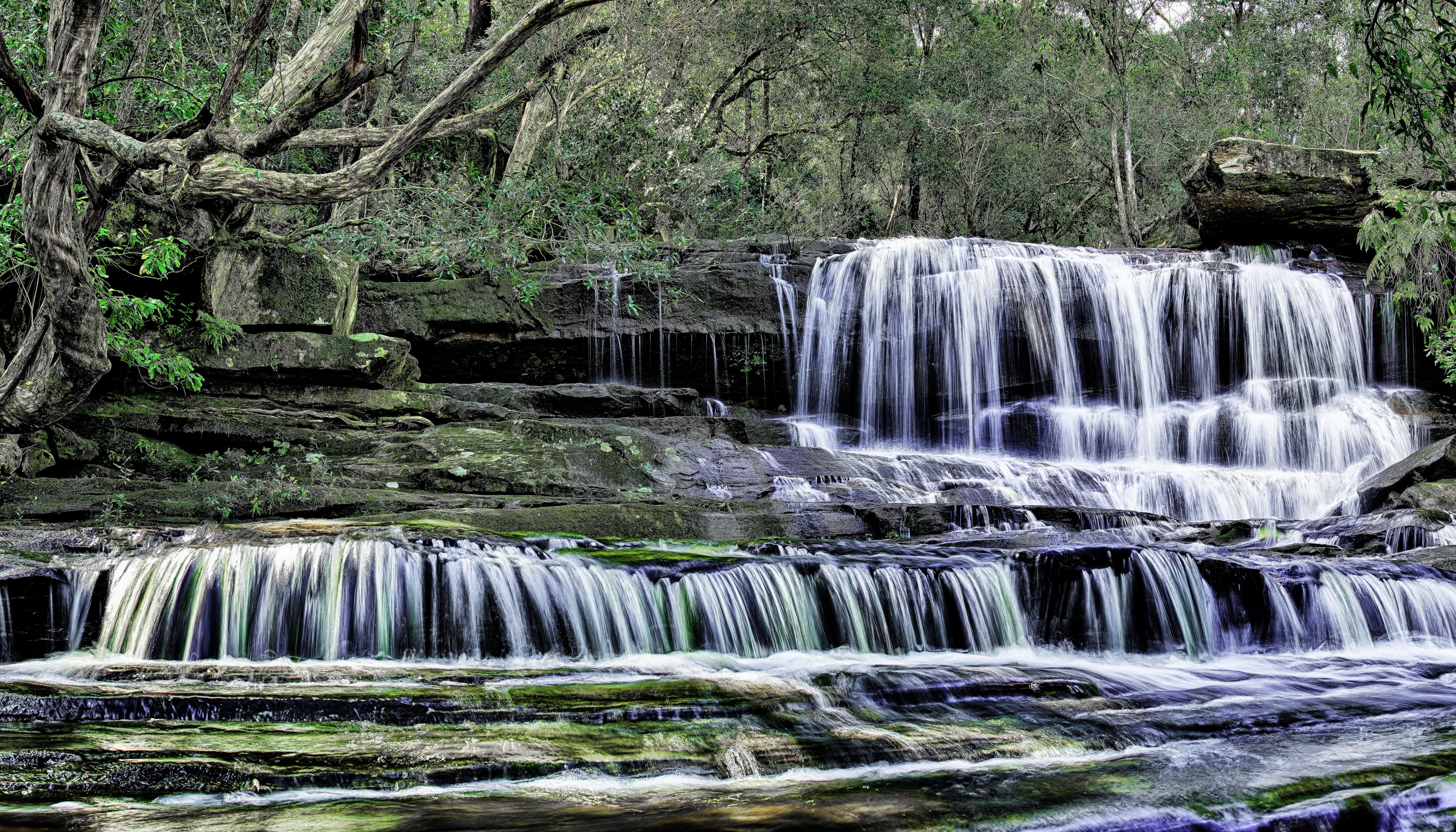 Waterfalls cascading over mossy rocks in a forest HD Wallpaper
