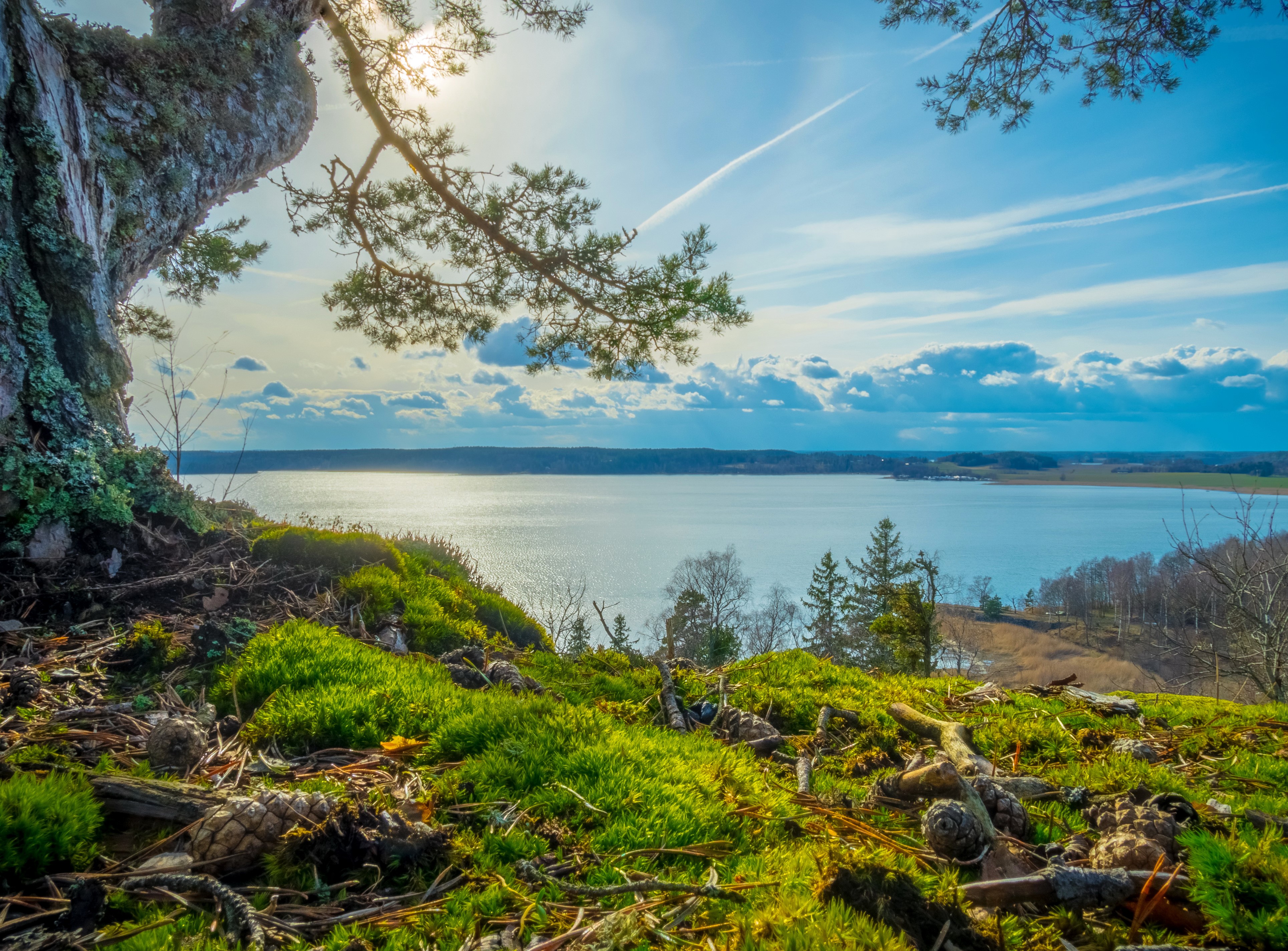 4K Scenery of Grodinge, Sweden with River and Sky HD Wallpaper