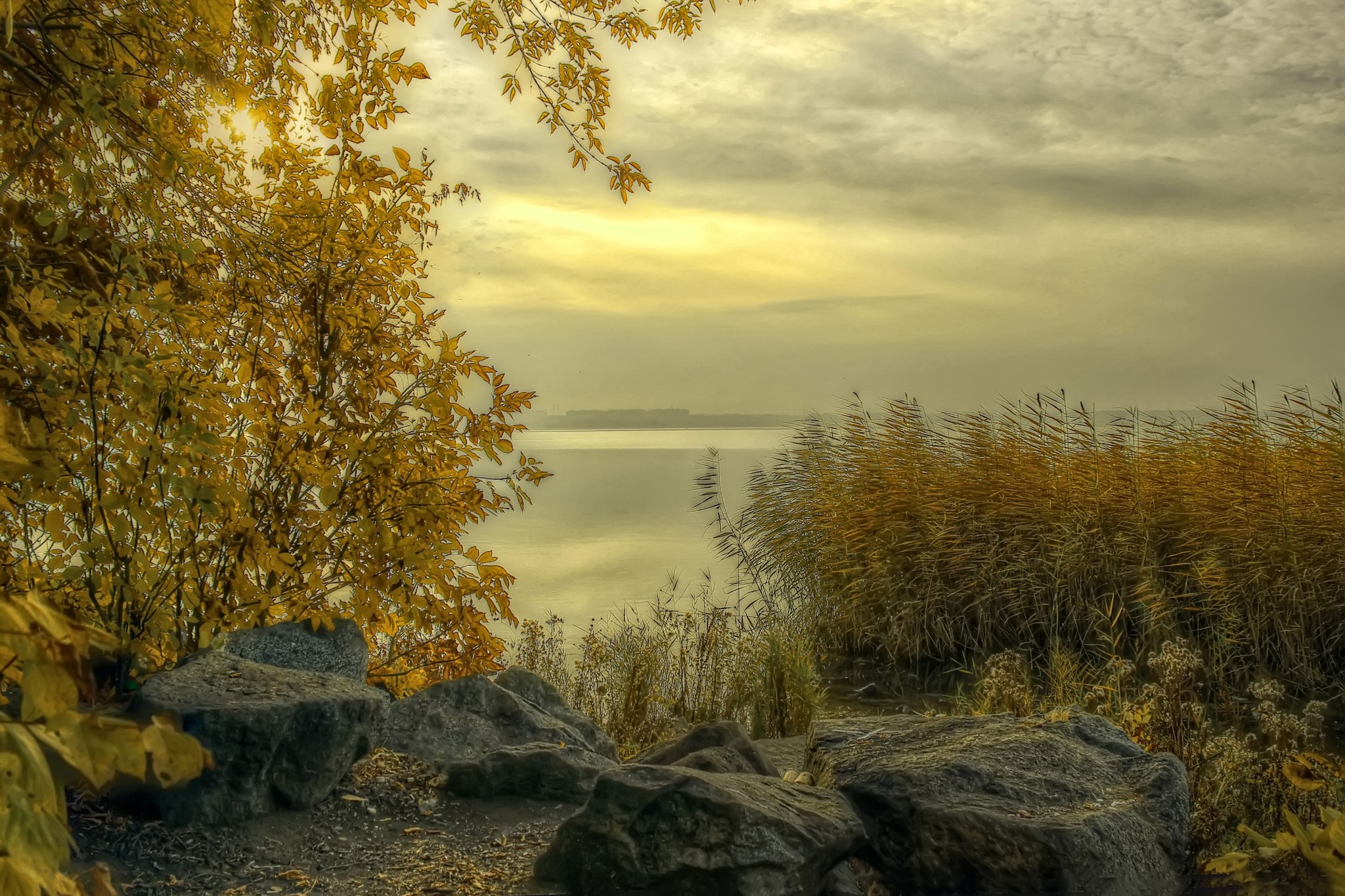 Autumn landscape with trees and river in Russia HD Wallpaper