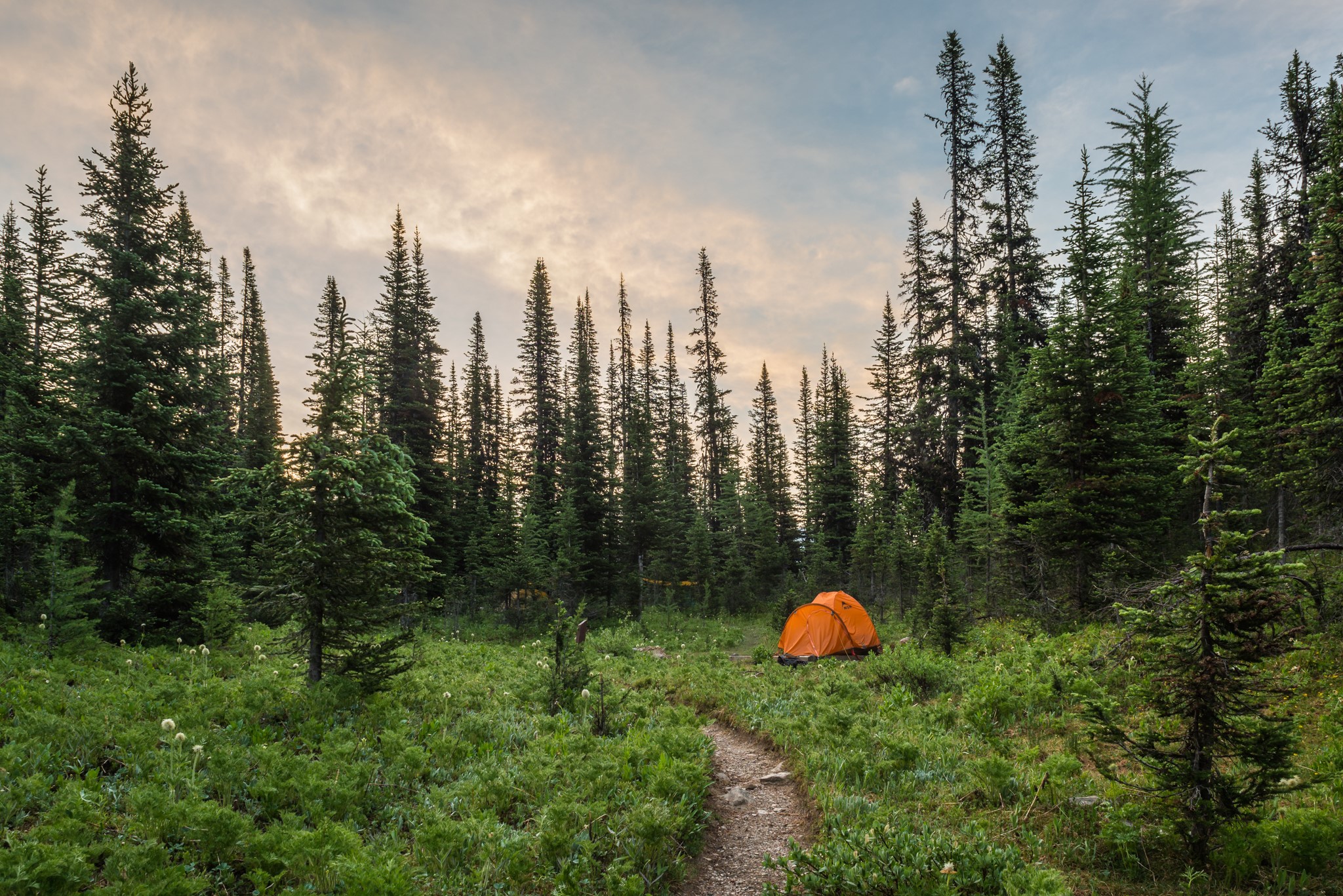 Orange tent in a forest clearing with a trail HD Wallpaper