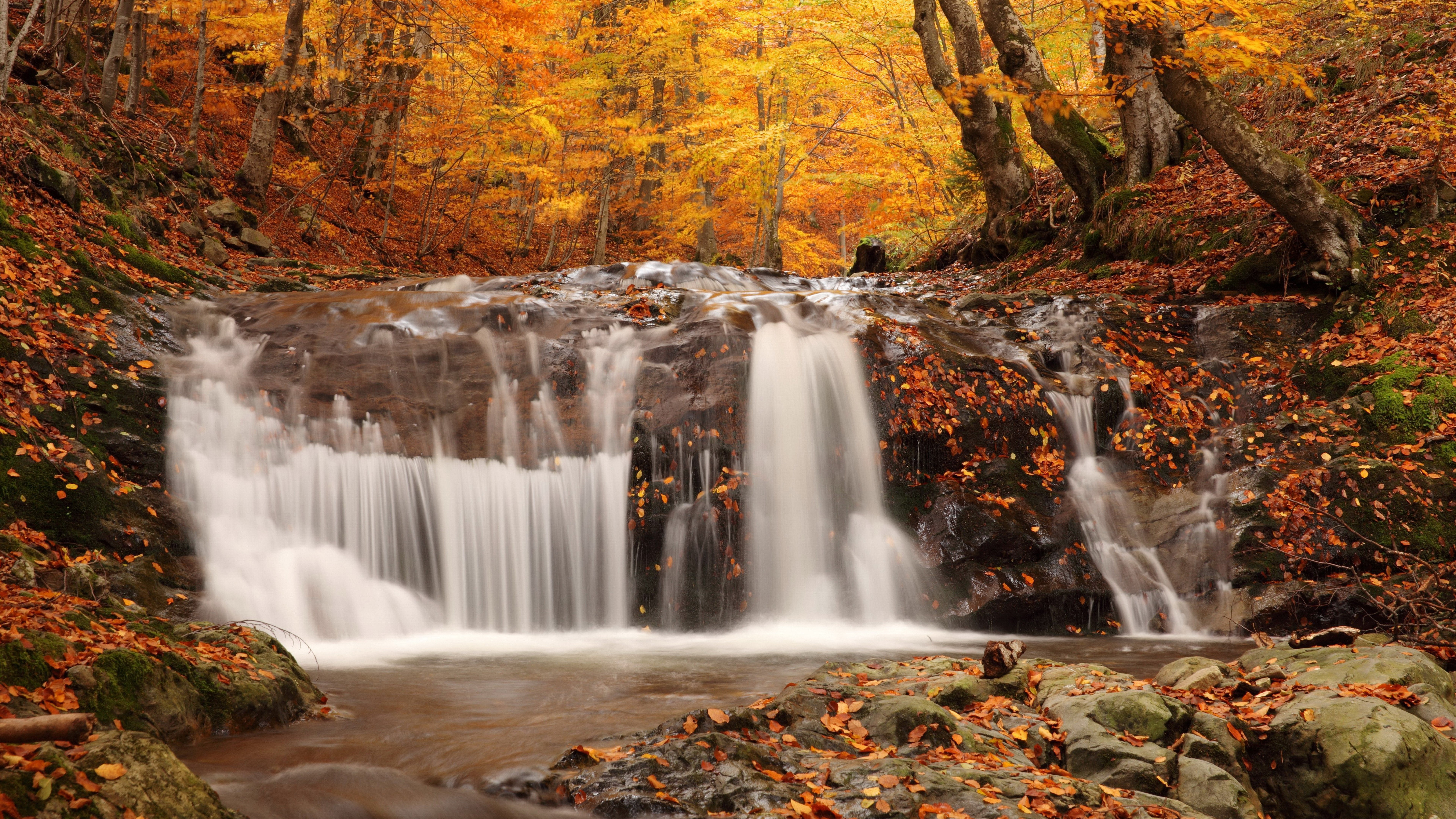 Autumn Waterfall with Colorful Foliage HD Wallpaper