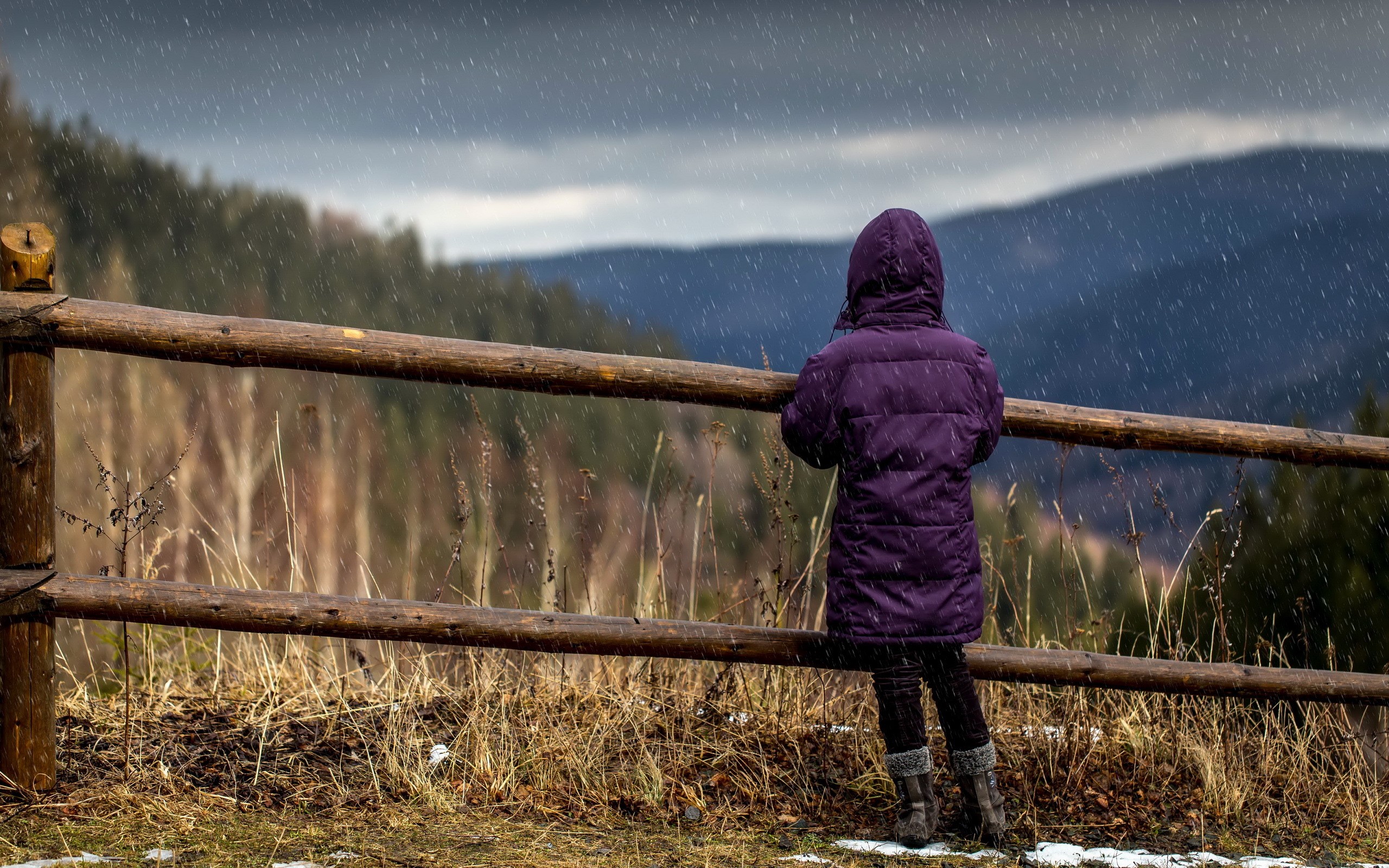 Girl in a purple jacket looking at the rain HD Wallpaper
