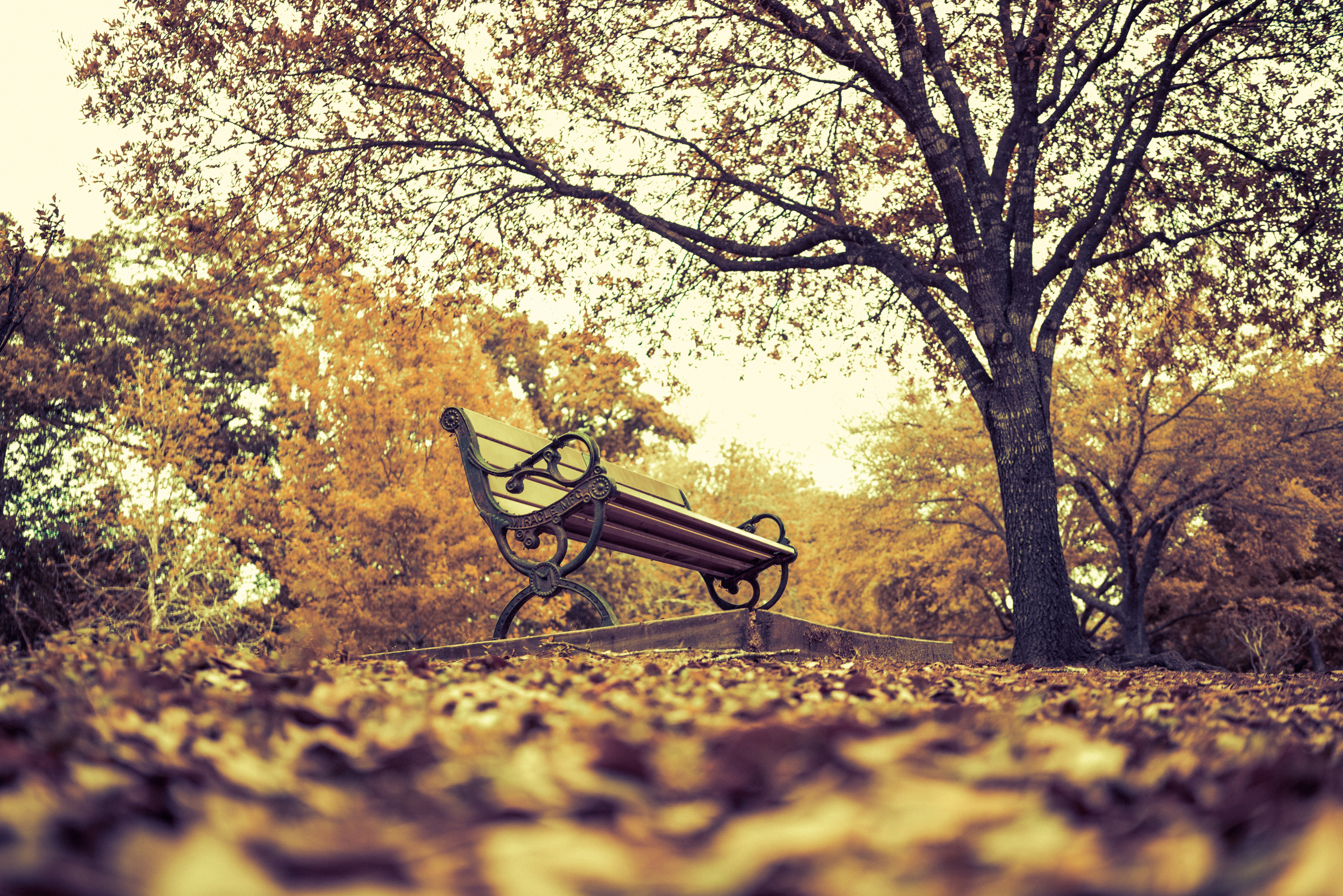 Park bench in autumn with fallen leaves HD Wallpaper