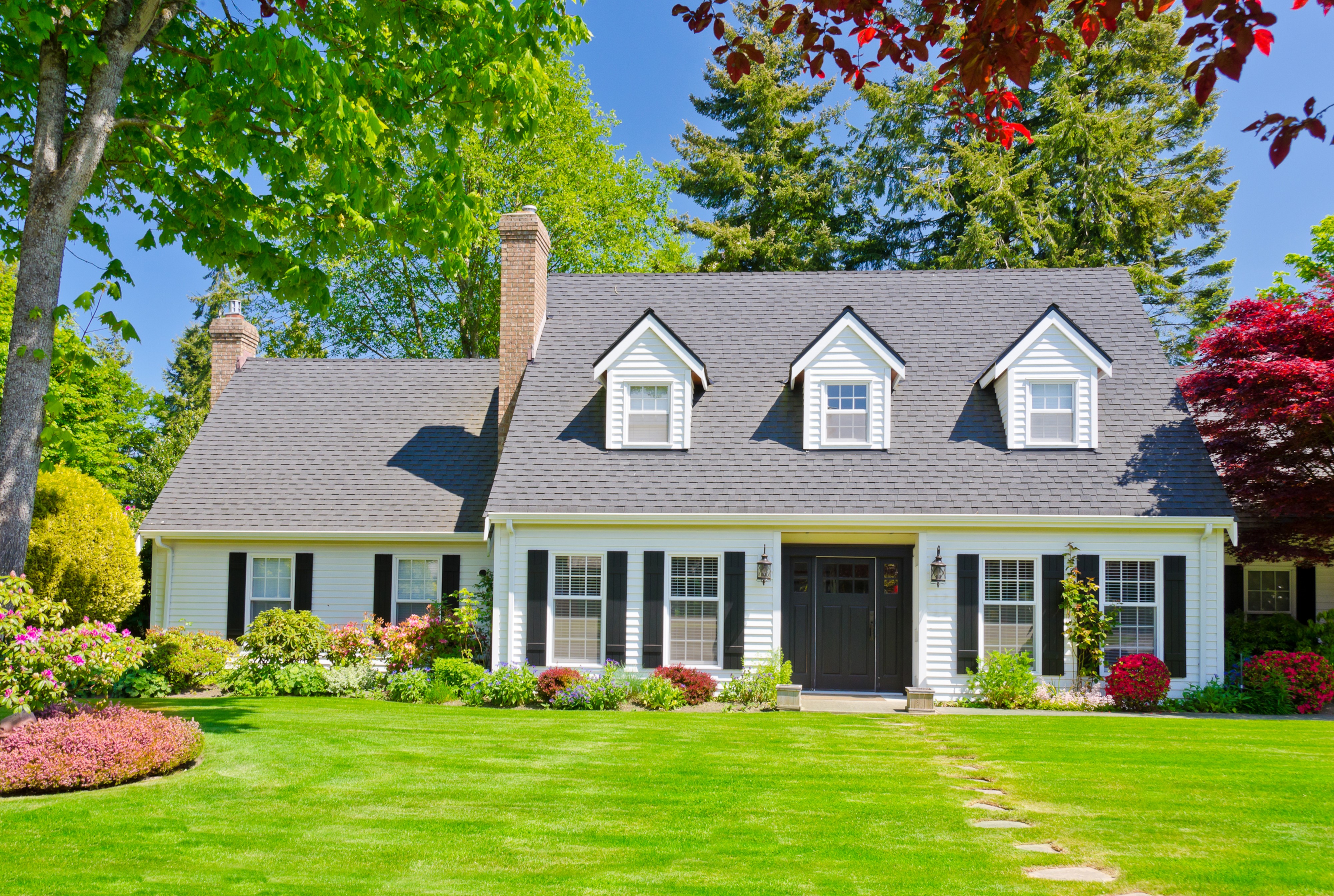 White house with black shutters and green lawn HD Wallpaper