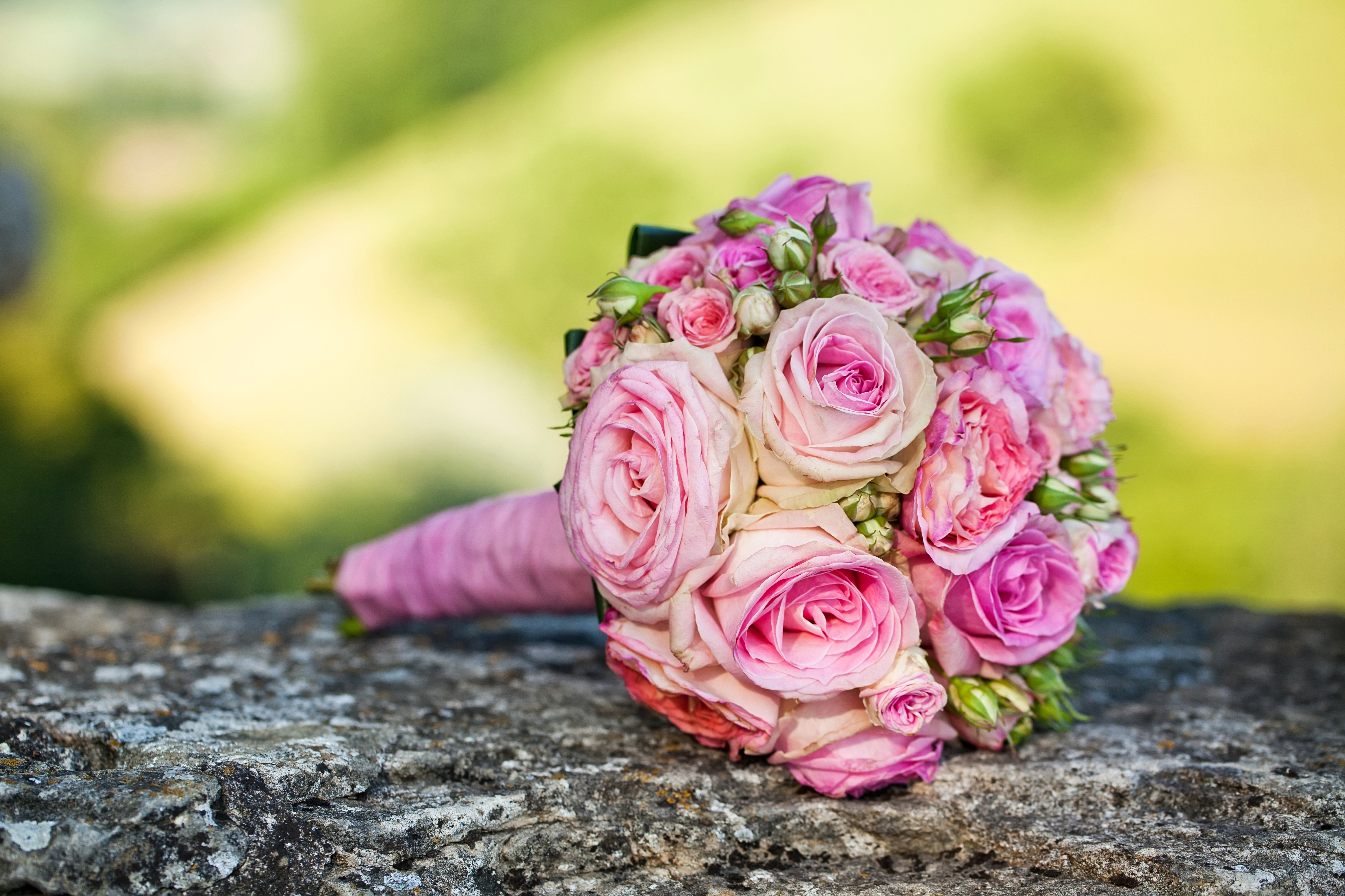 Pink Roses Bouquet on Stone HD Wallpaper