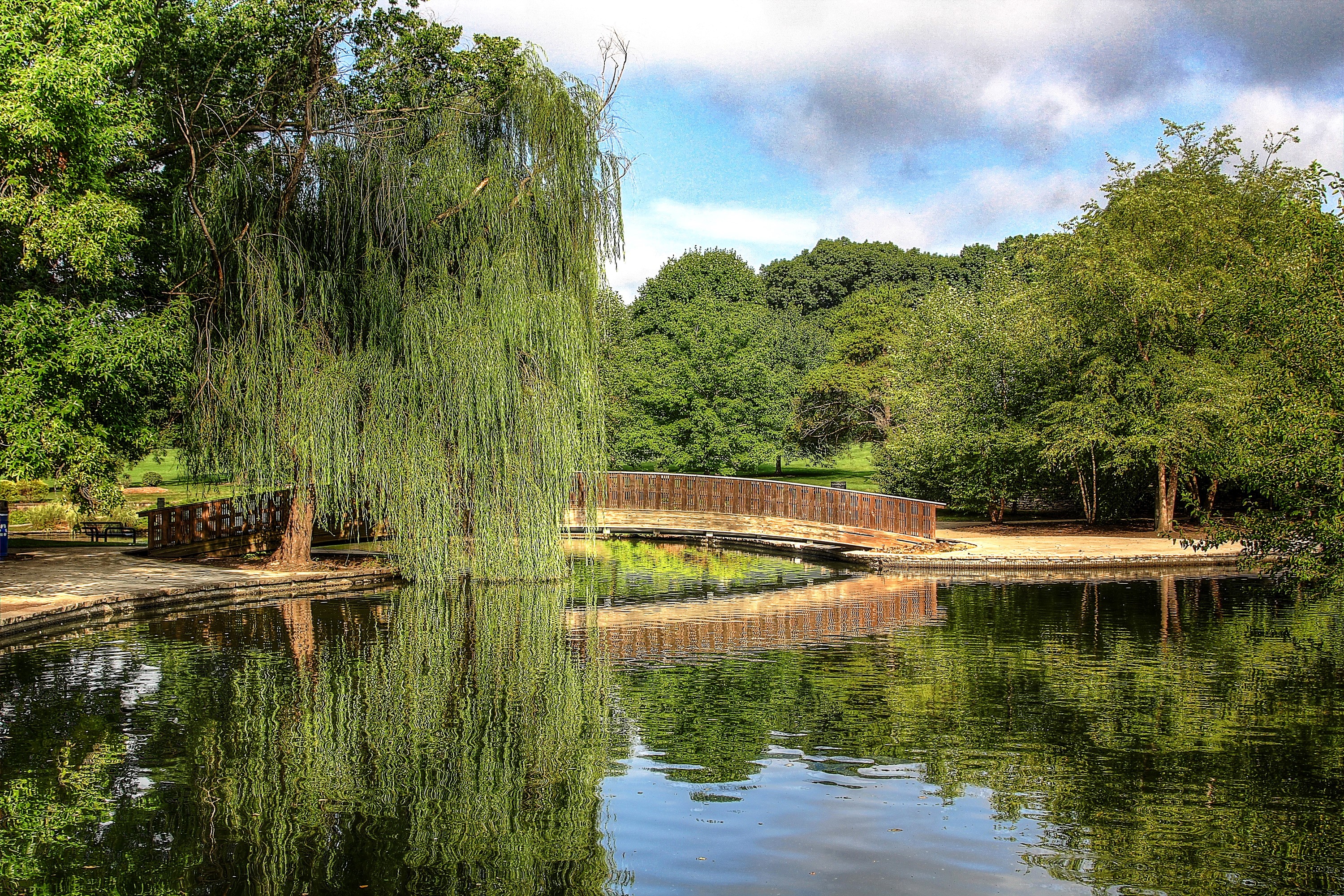 Park with a pond and a wooden bridge HD Wallpaper