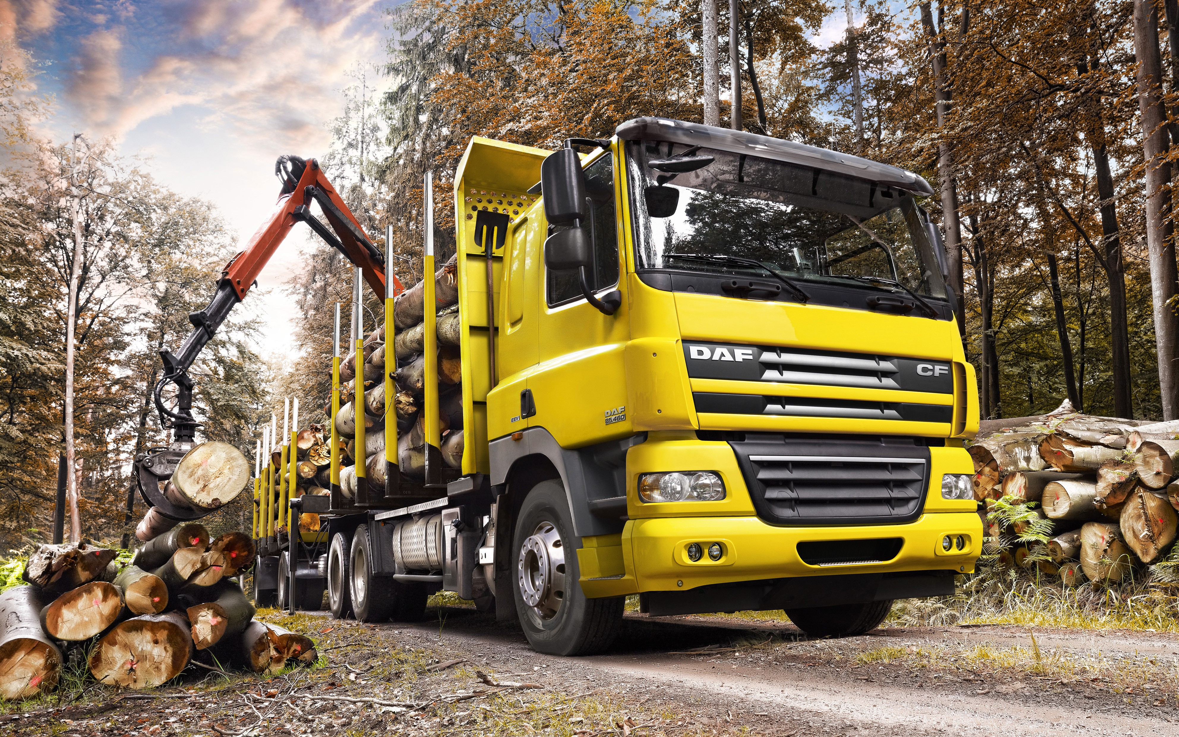 Yellow DAF CF85-460 Logging Truck in Forest HD Wallpaper