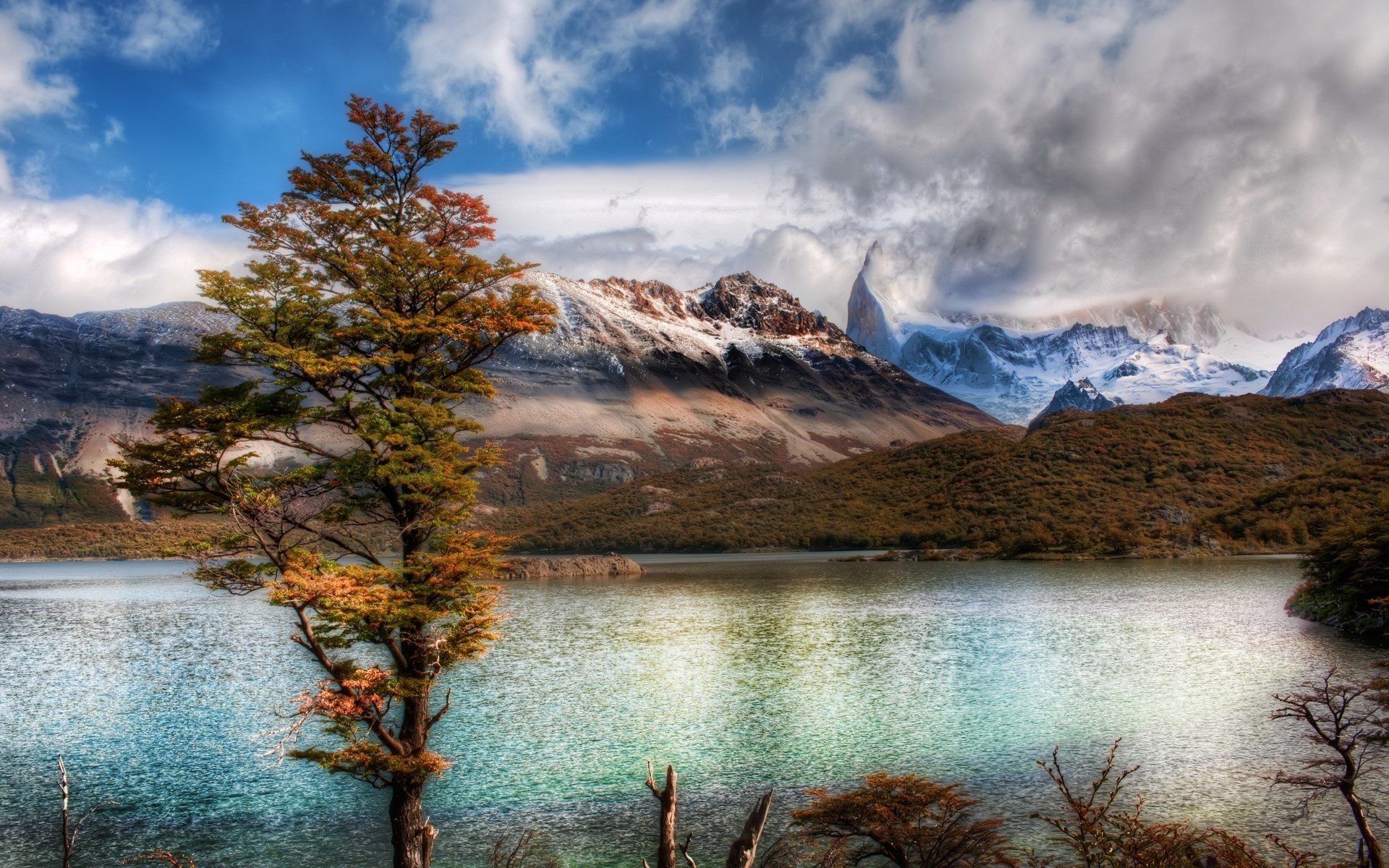 Tree by a lake with snow-capped mountains HD Wallpaper