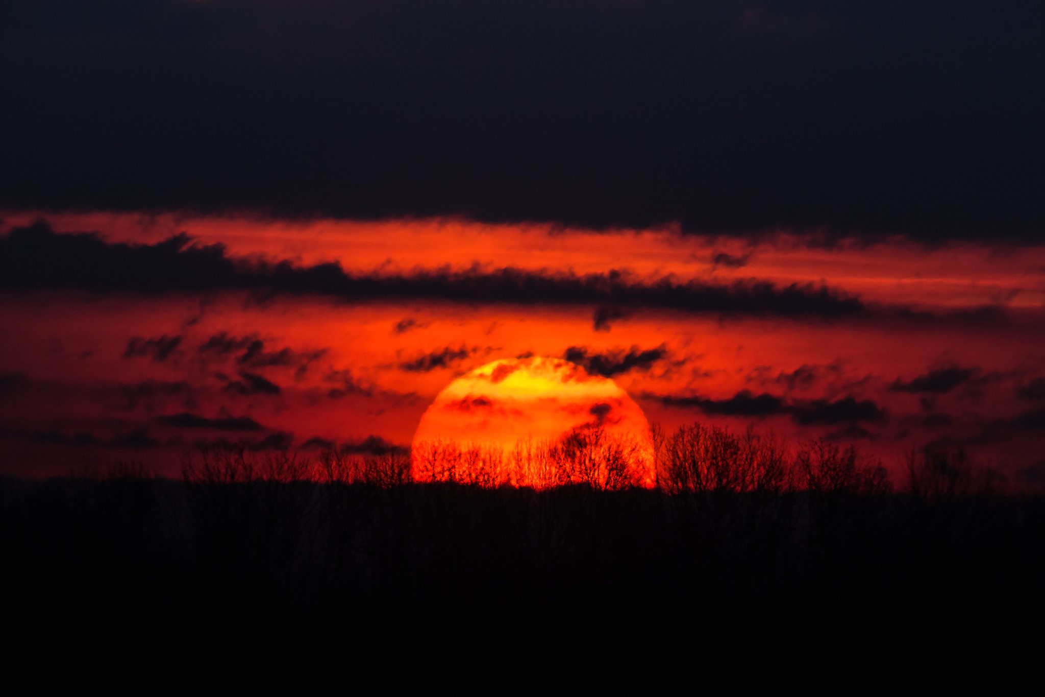 Sunset over a dark landscape with trees HD Wallpaper