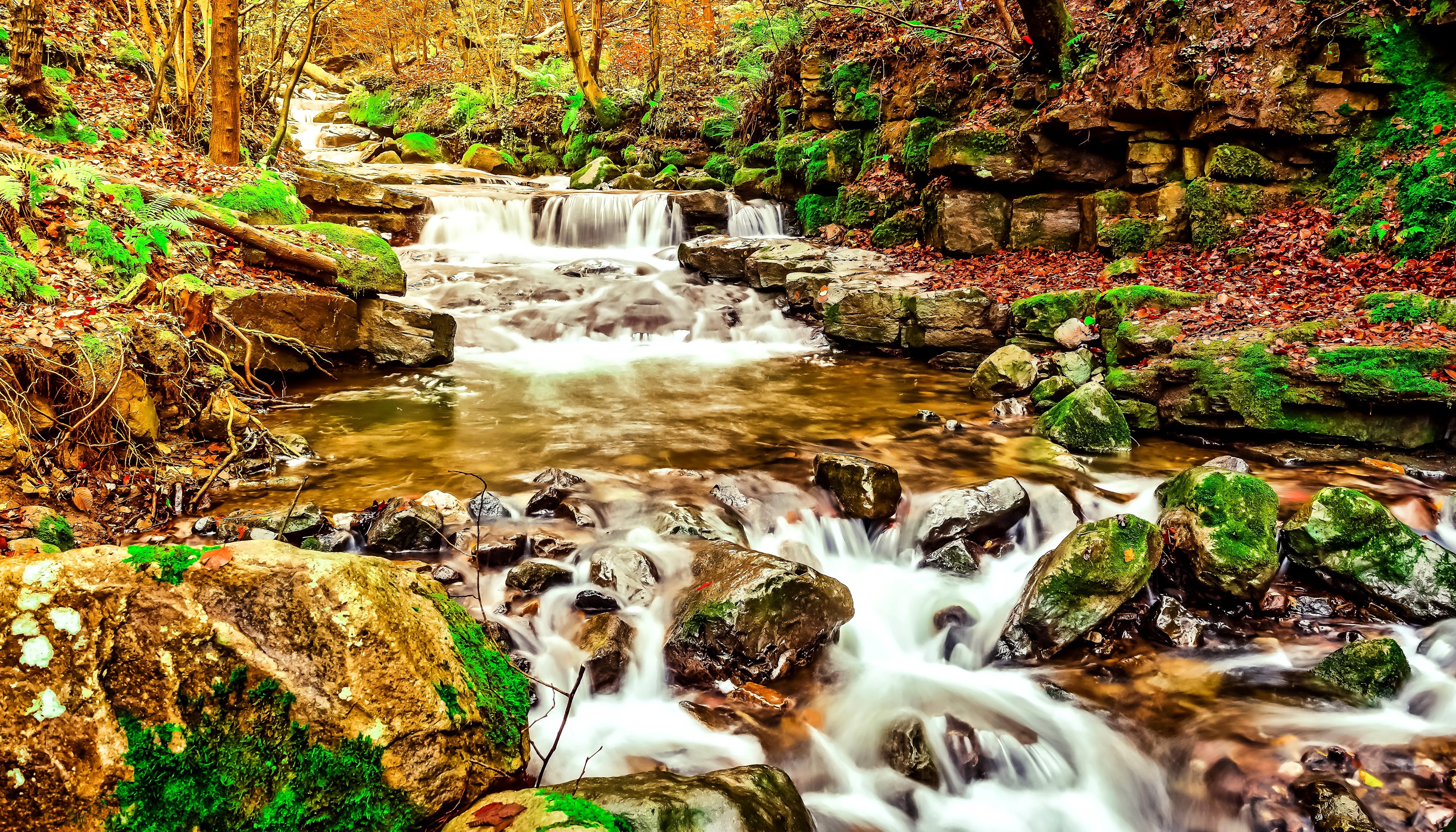 Autumn stream with waterfalls and mossy stones HD Wallpaper