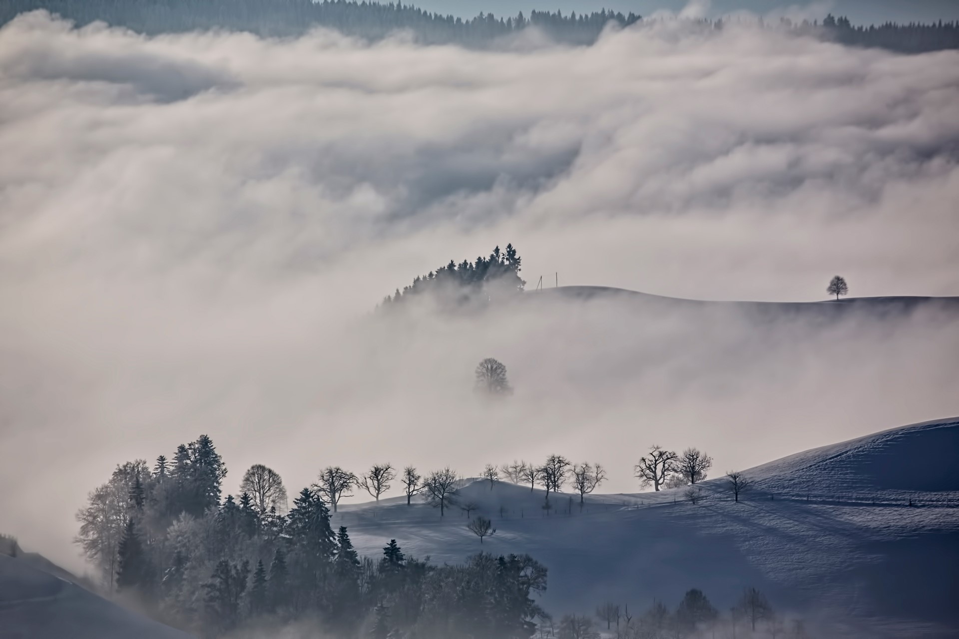 Winter landscape with fog and snow-covered hills HD Wallpaper