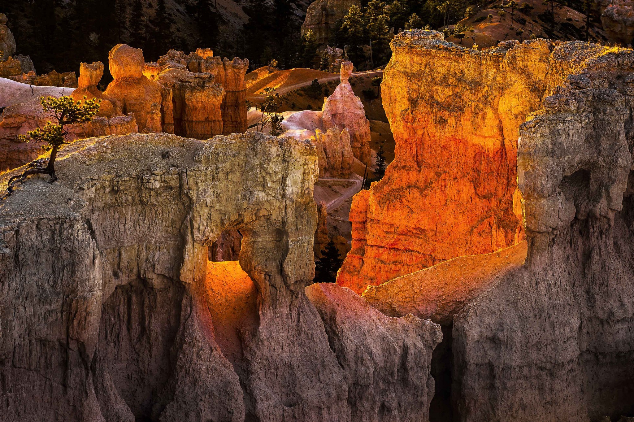 Bryce Canyon National Park Hoodoos at Sunset HD Wallpaper