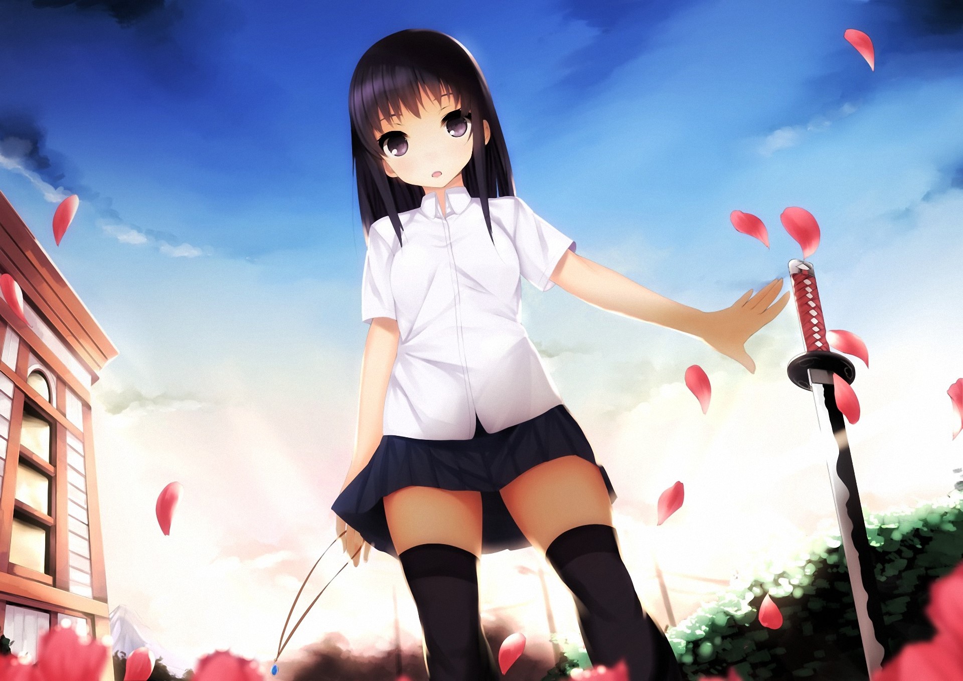 Anime girl with sword and falling petals HD Wallpaper