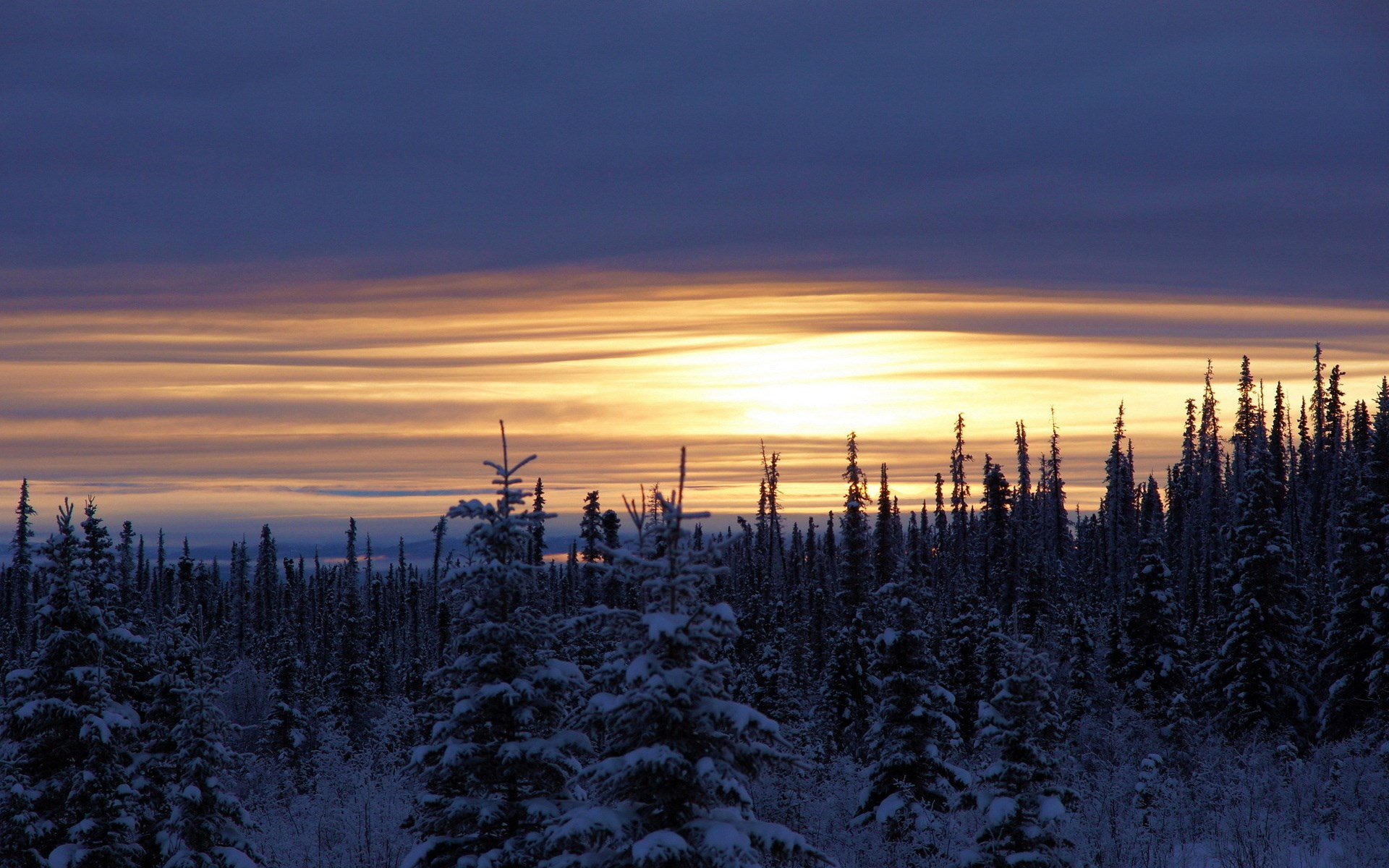 Snow-covered forest at sunset with colorful clouds HD Wallpaper