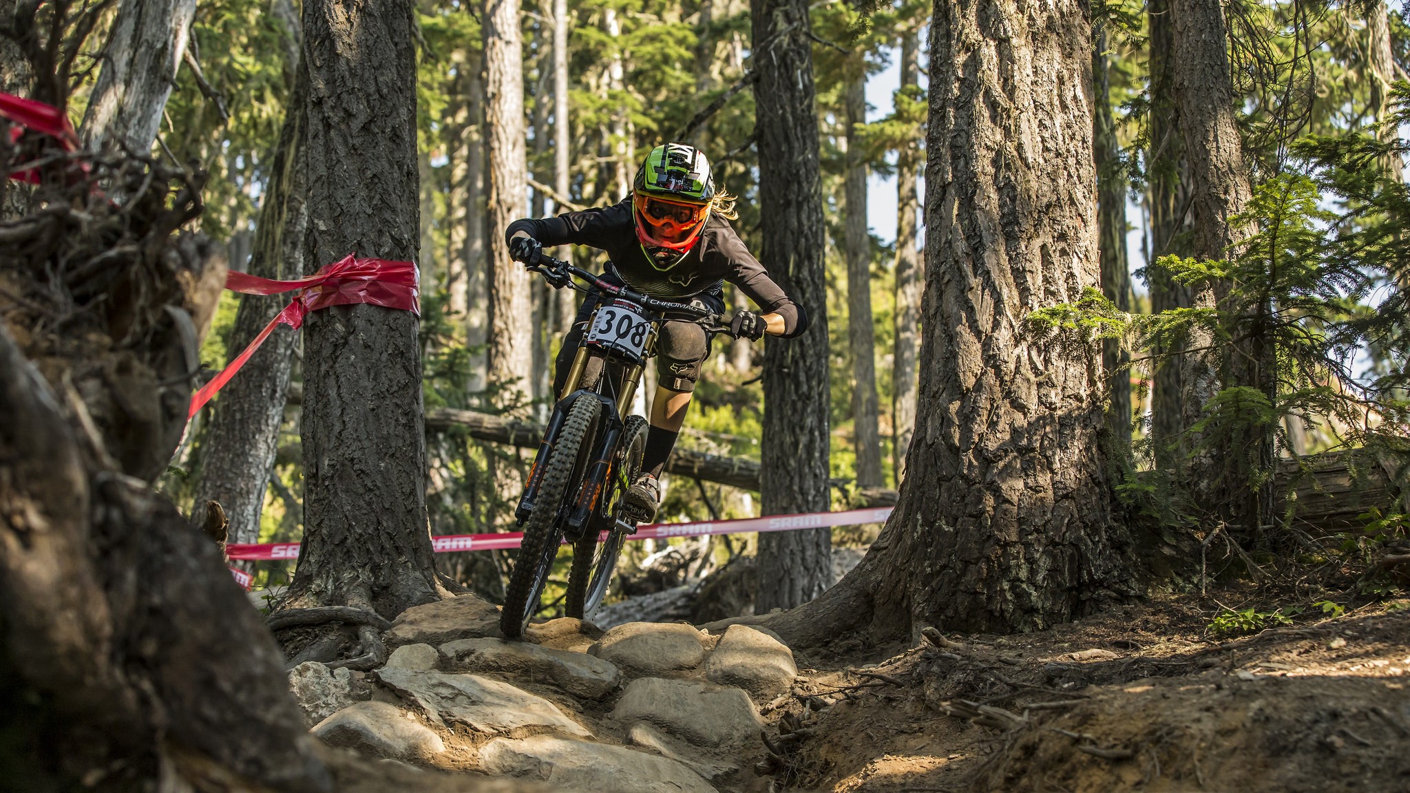 Mountain biker racing downhill through a forest HD Wallpaper