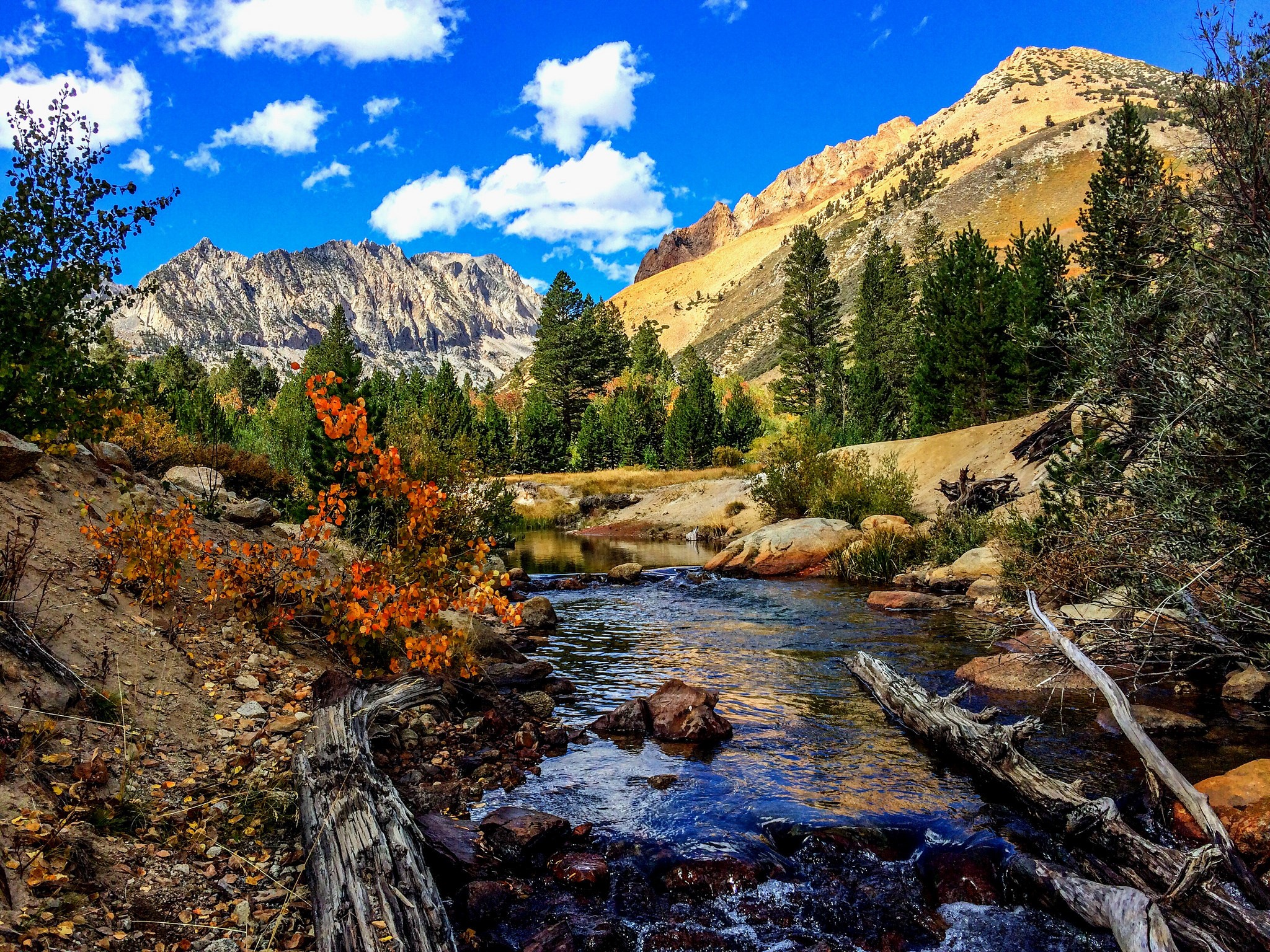 Mountain River in Autumn Scenery HD Wallpaper