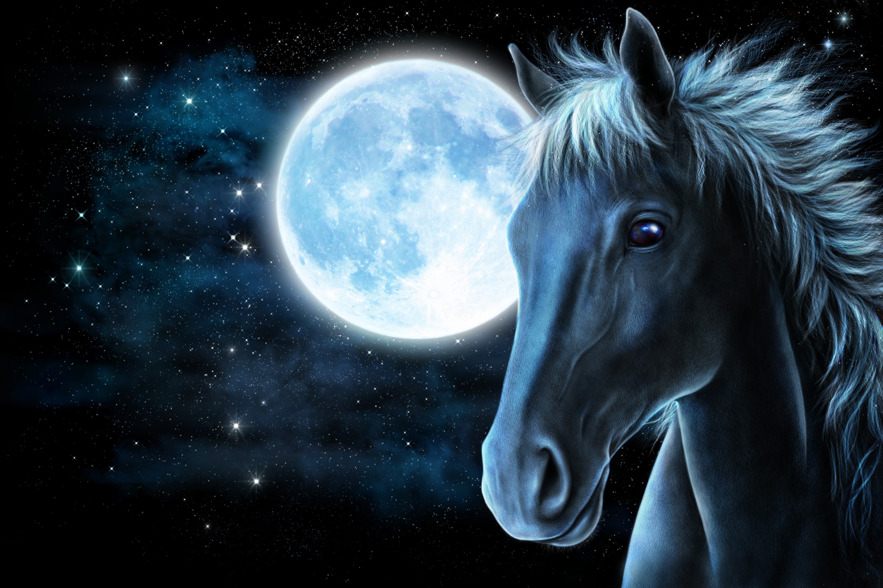 A dark horse in front of a large blue moon and starry night sky HD Wallpaper