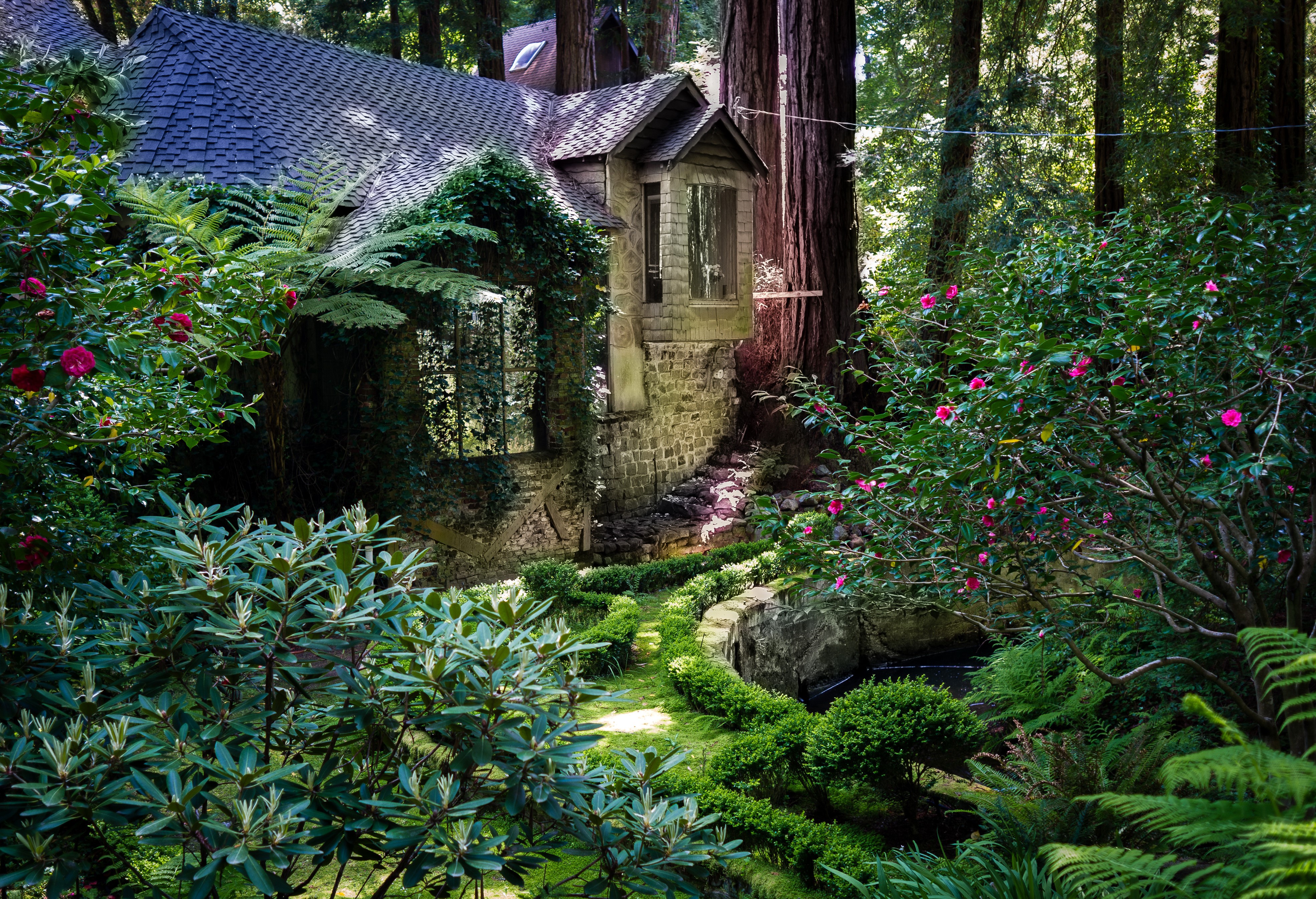 House in Redwood National Park, California HD Wallpaper
