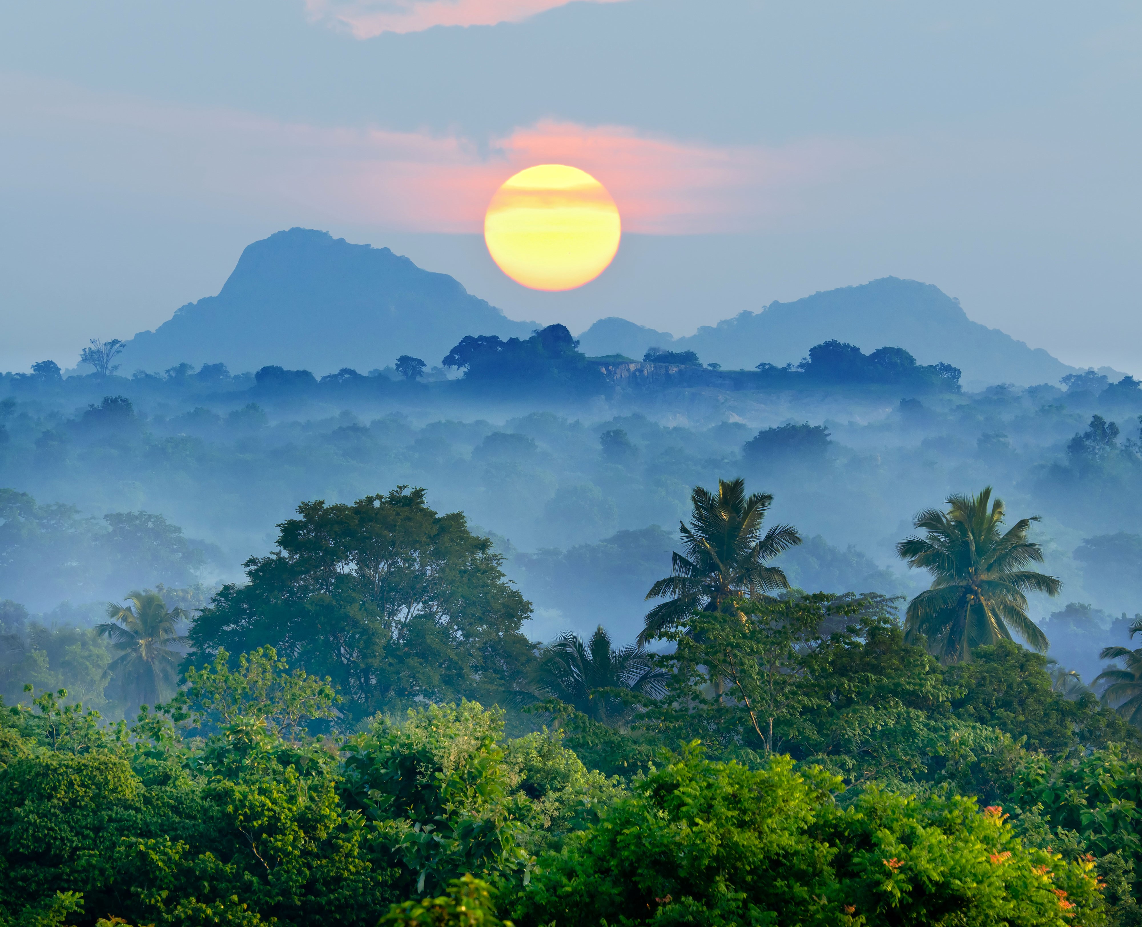 Sunrise over misty mountains and forest HD Wallpaper