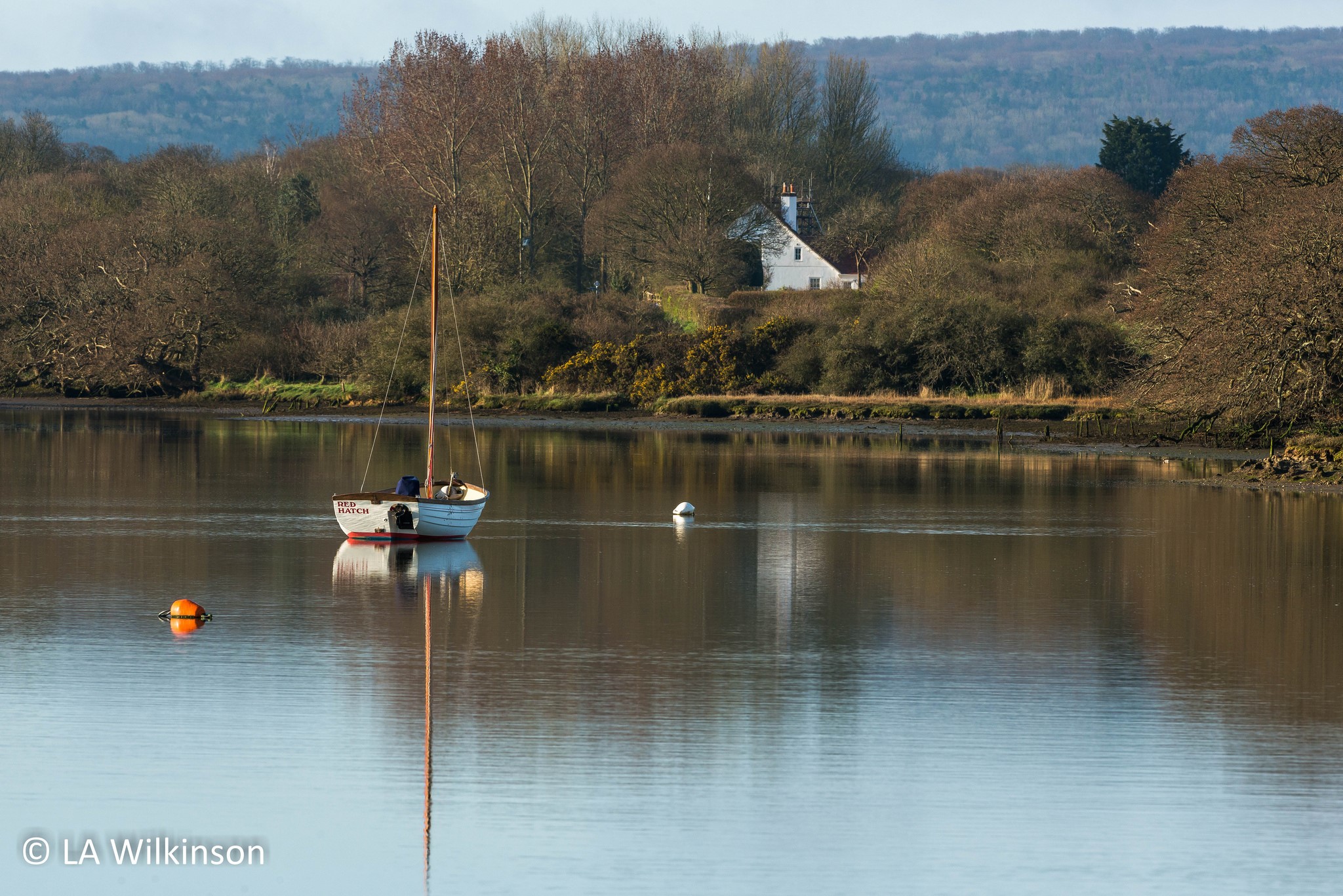 Sailboat on a calm lake with a house in the background HD Wallpaper