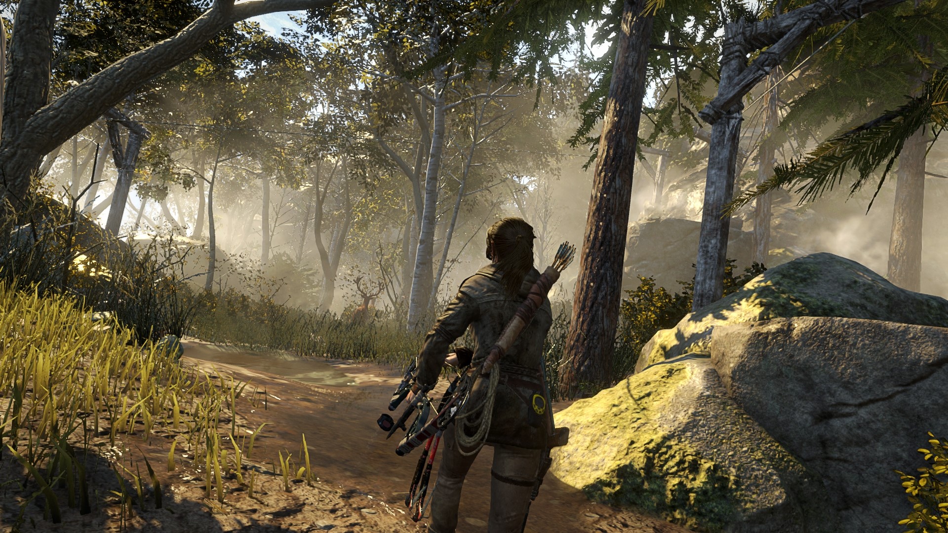 Lara Croft from Rise of the Tomb Raider in a forest HD Wallpaper