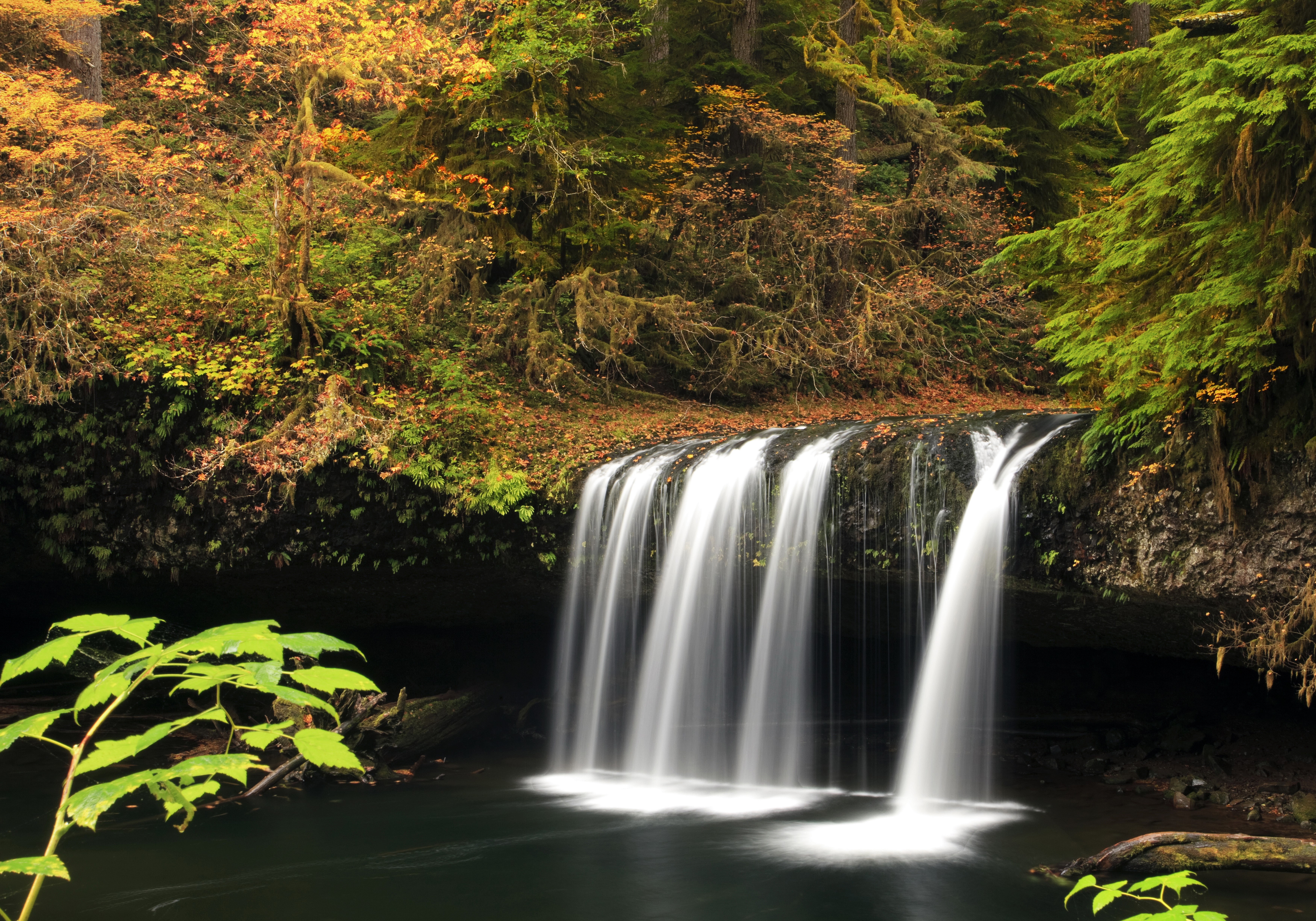 Upper Butte Creek Falls Oregon in Autumn HD Wallpaper