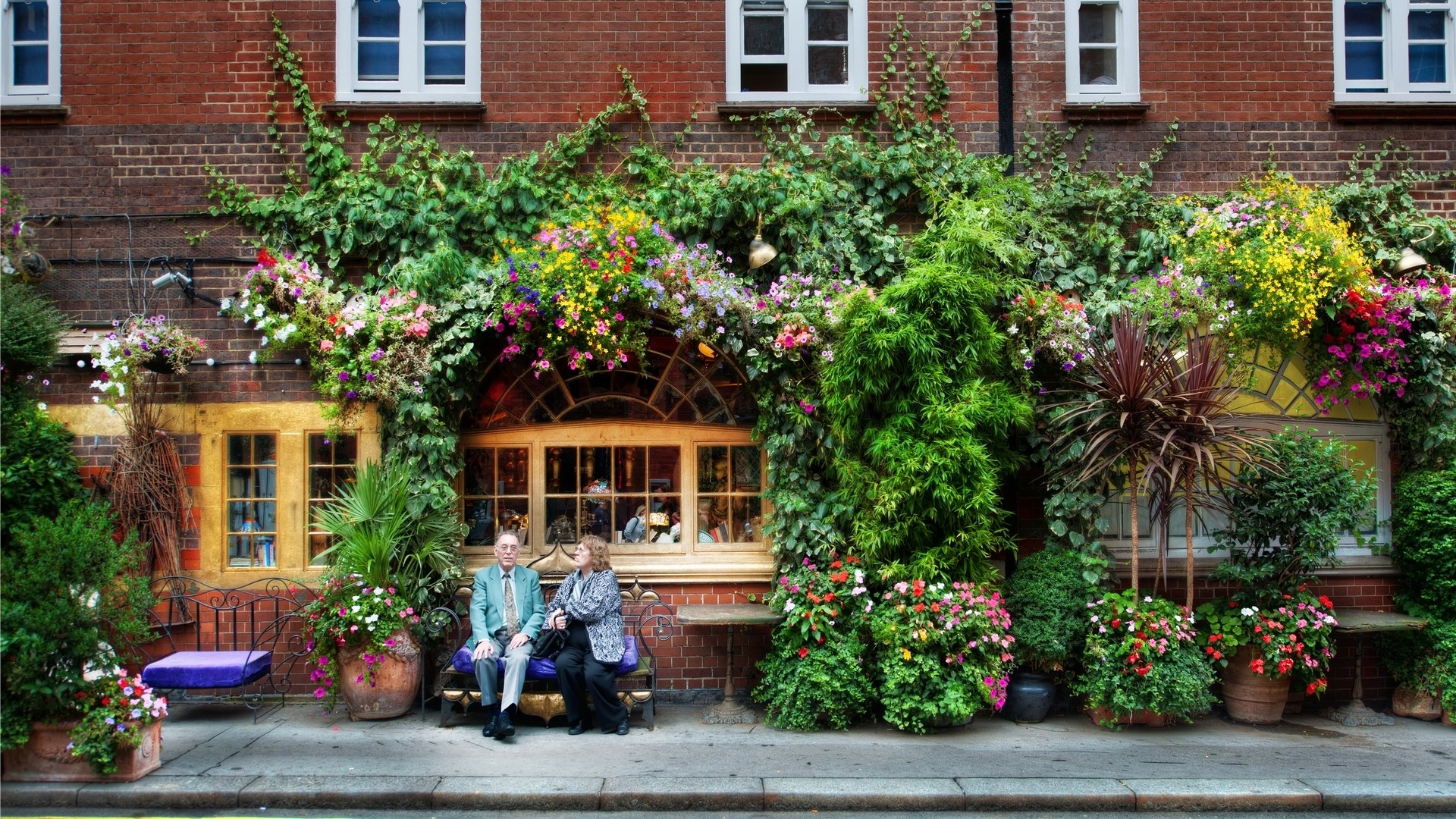 Two people sitting on a bench in front of a brick building covered in plants and flowers HD Wallpaper