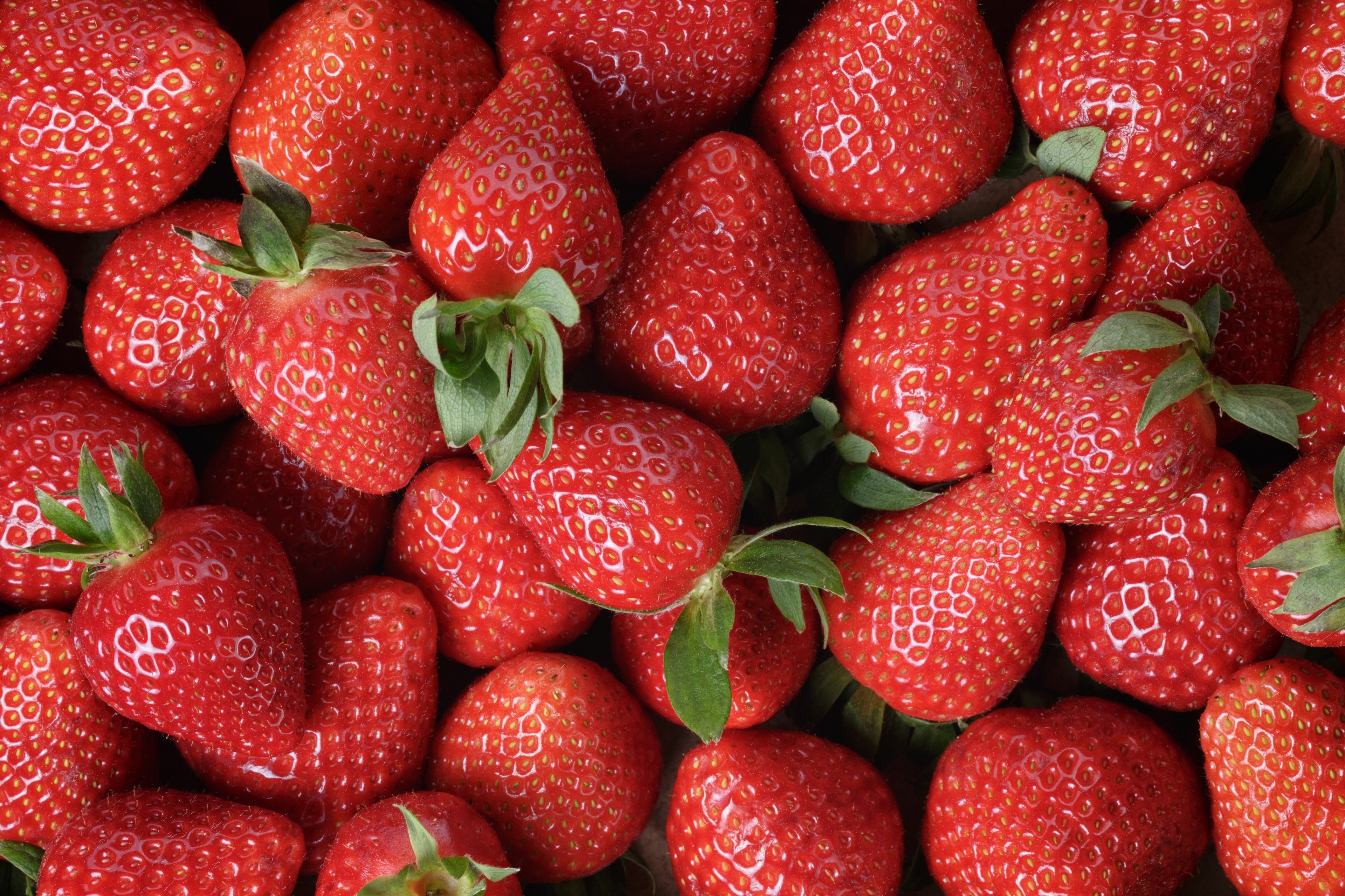 Many Red Strawberries HD Wallpaper
