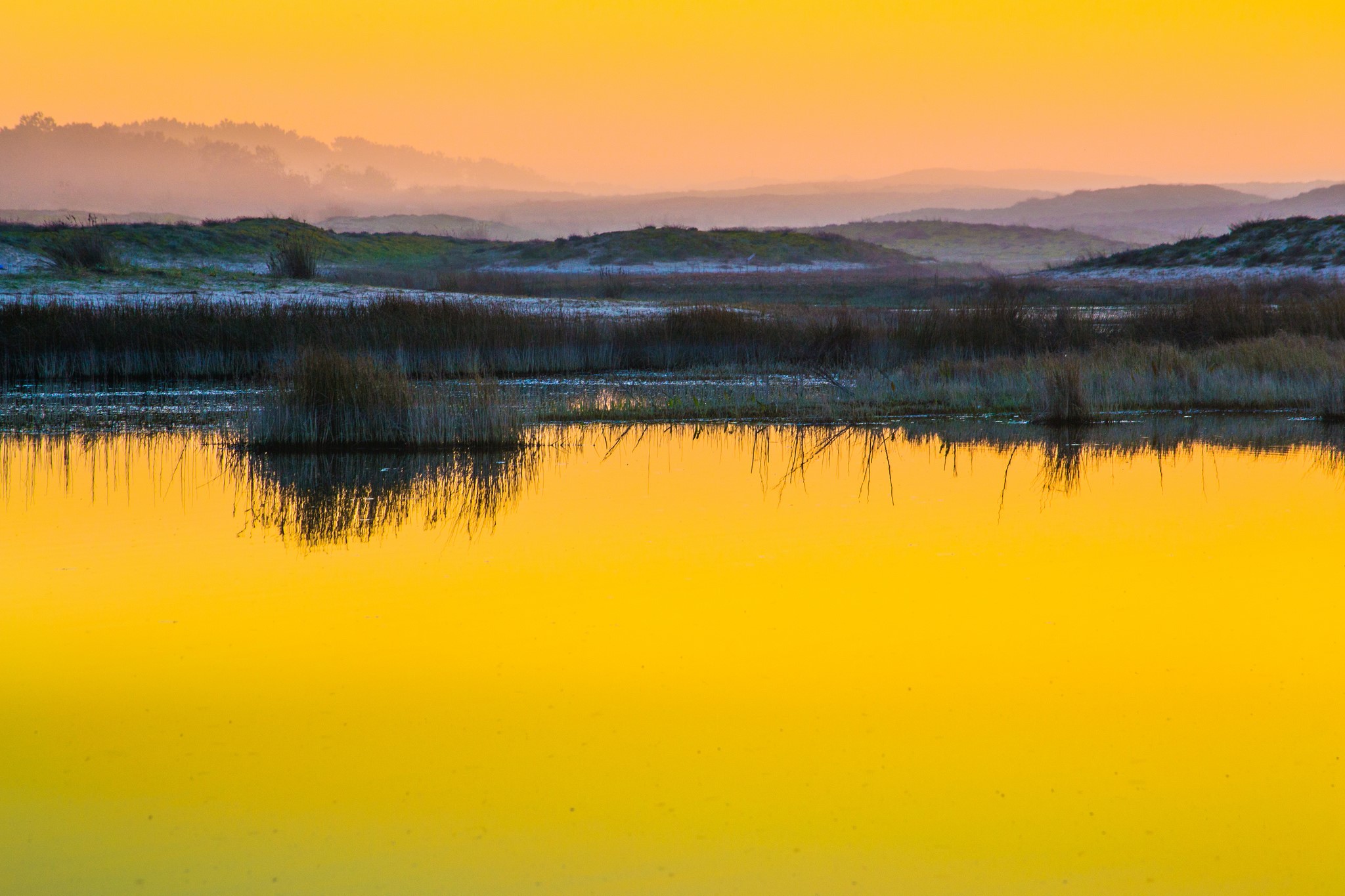 Yellow lake reflecting reeds and misty mountains at sunset HD Wallpaper