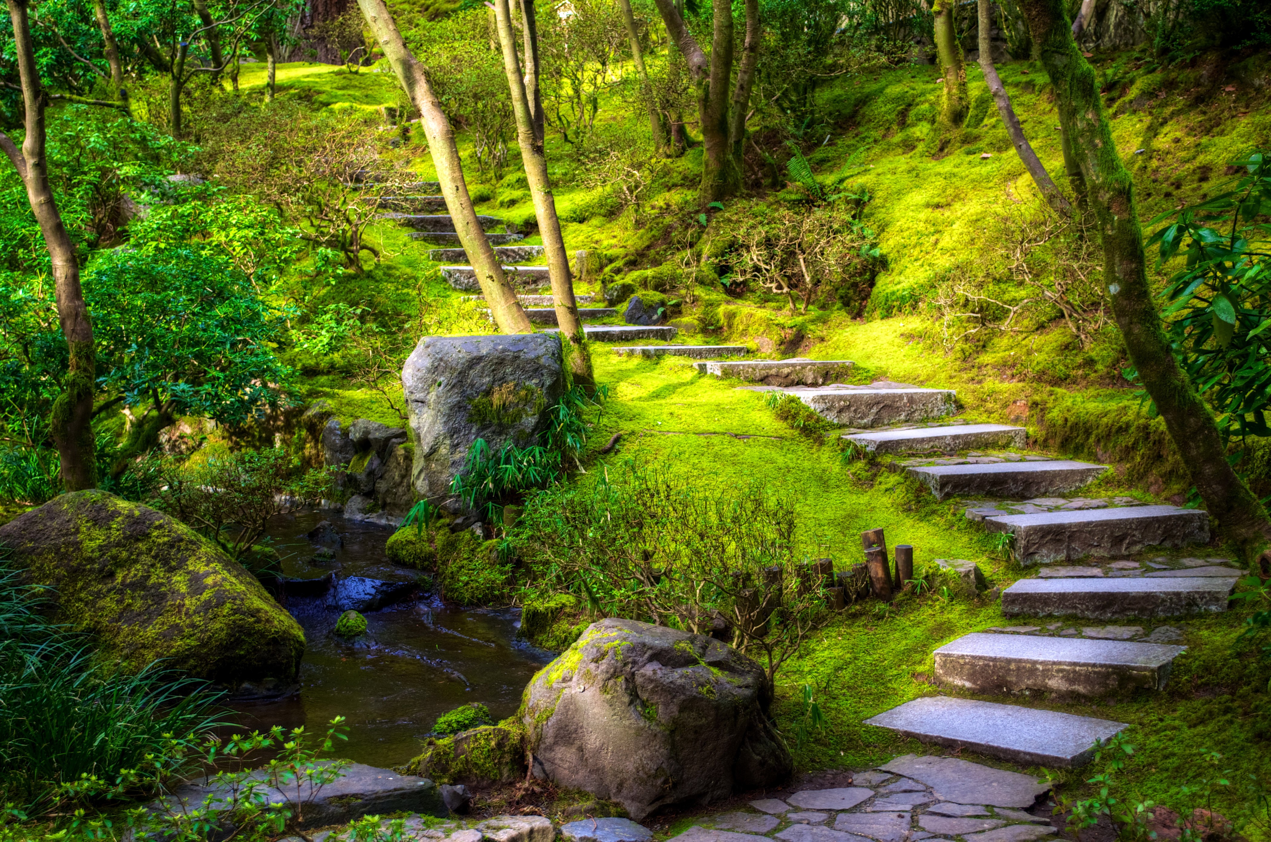Stone stairs in a mossy forest with a stream HD Wallpaper