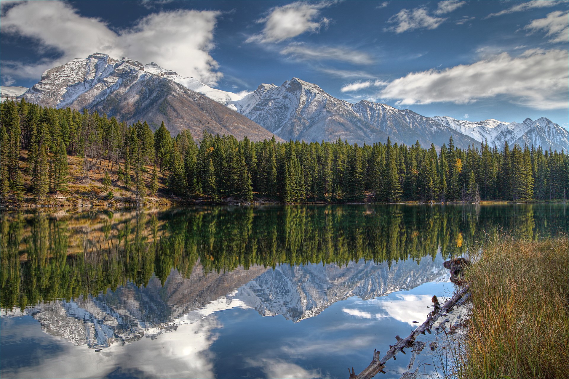 Snow-capped mountains reflected in a lake with a pine forest HD Wallpaper