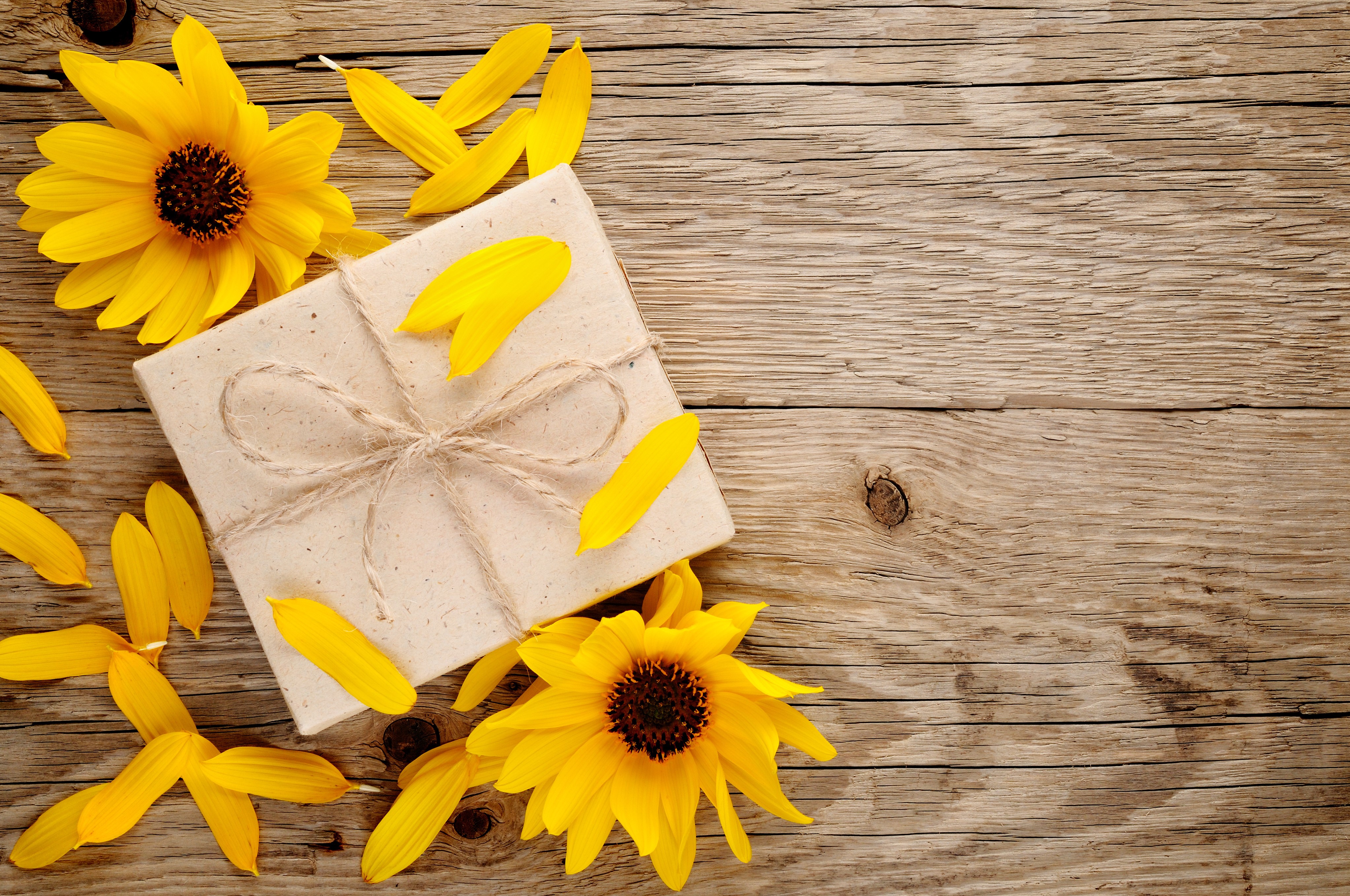 Gift box with sunflowers and petals on wood HD Wallpaper