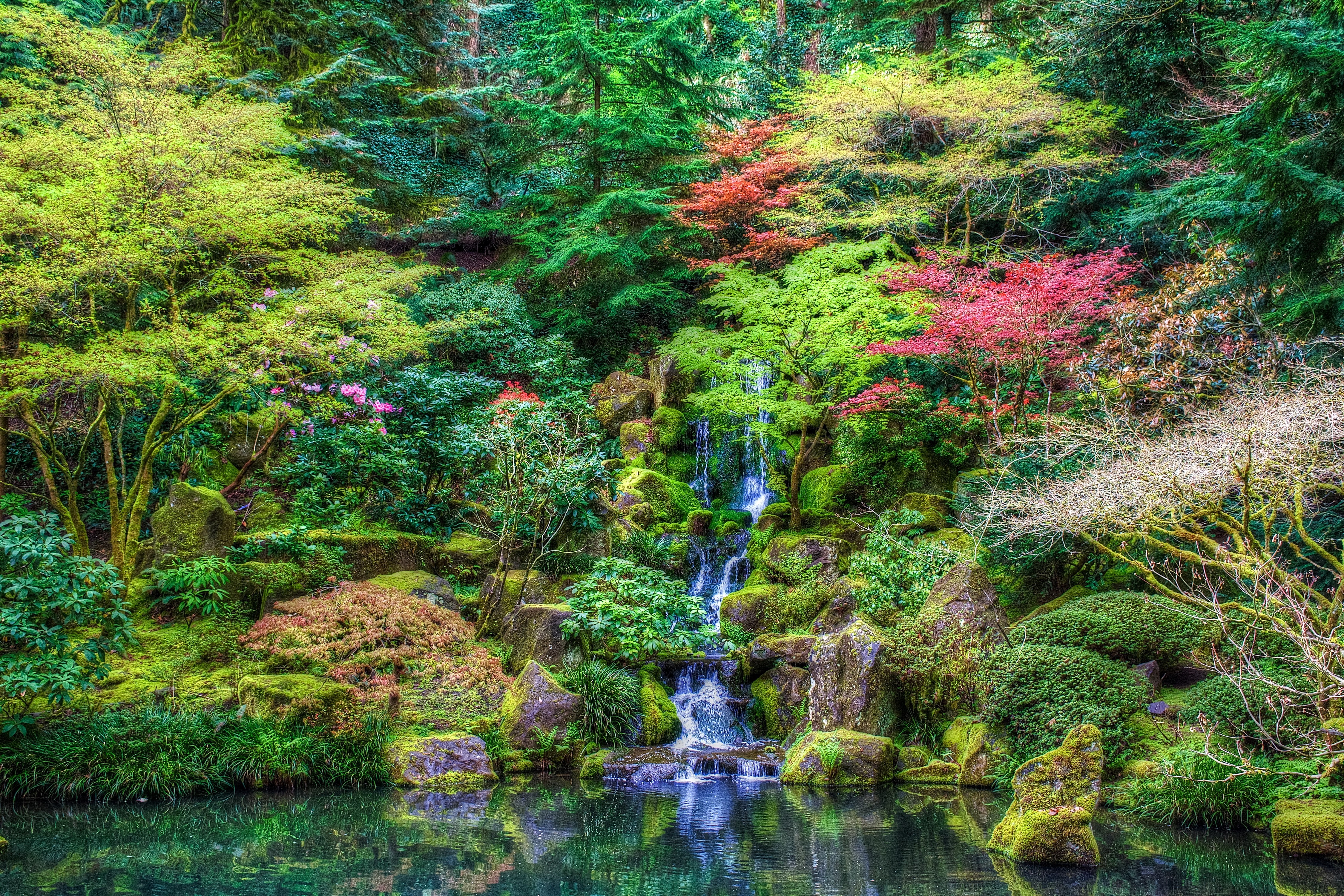 Japanese Garden with Waterfall and Pond HD Wallpaper