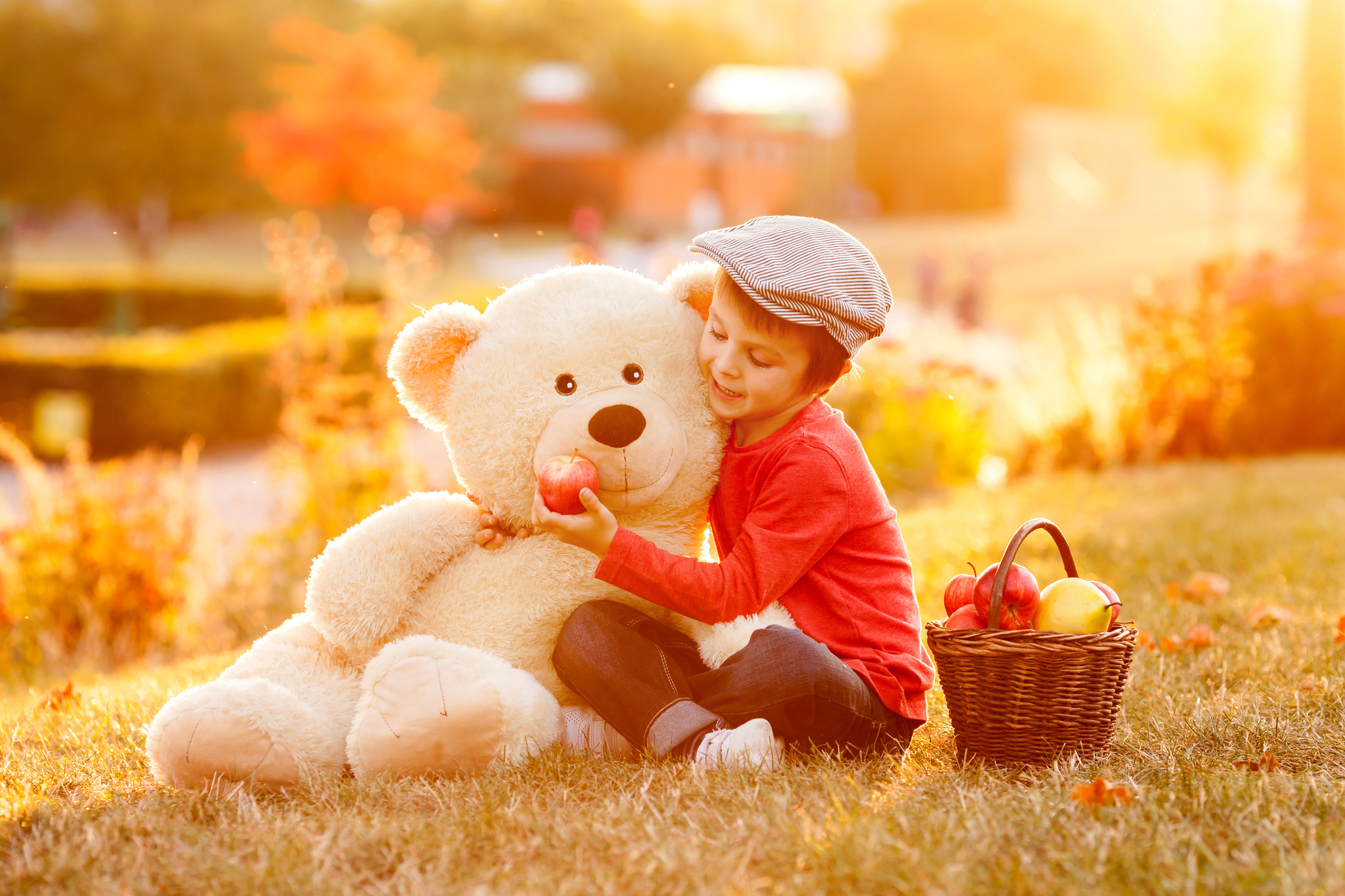 Boy with teddy bear and apples in autumn HD Wallpaper
