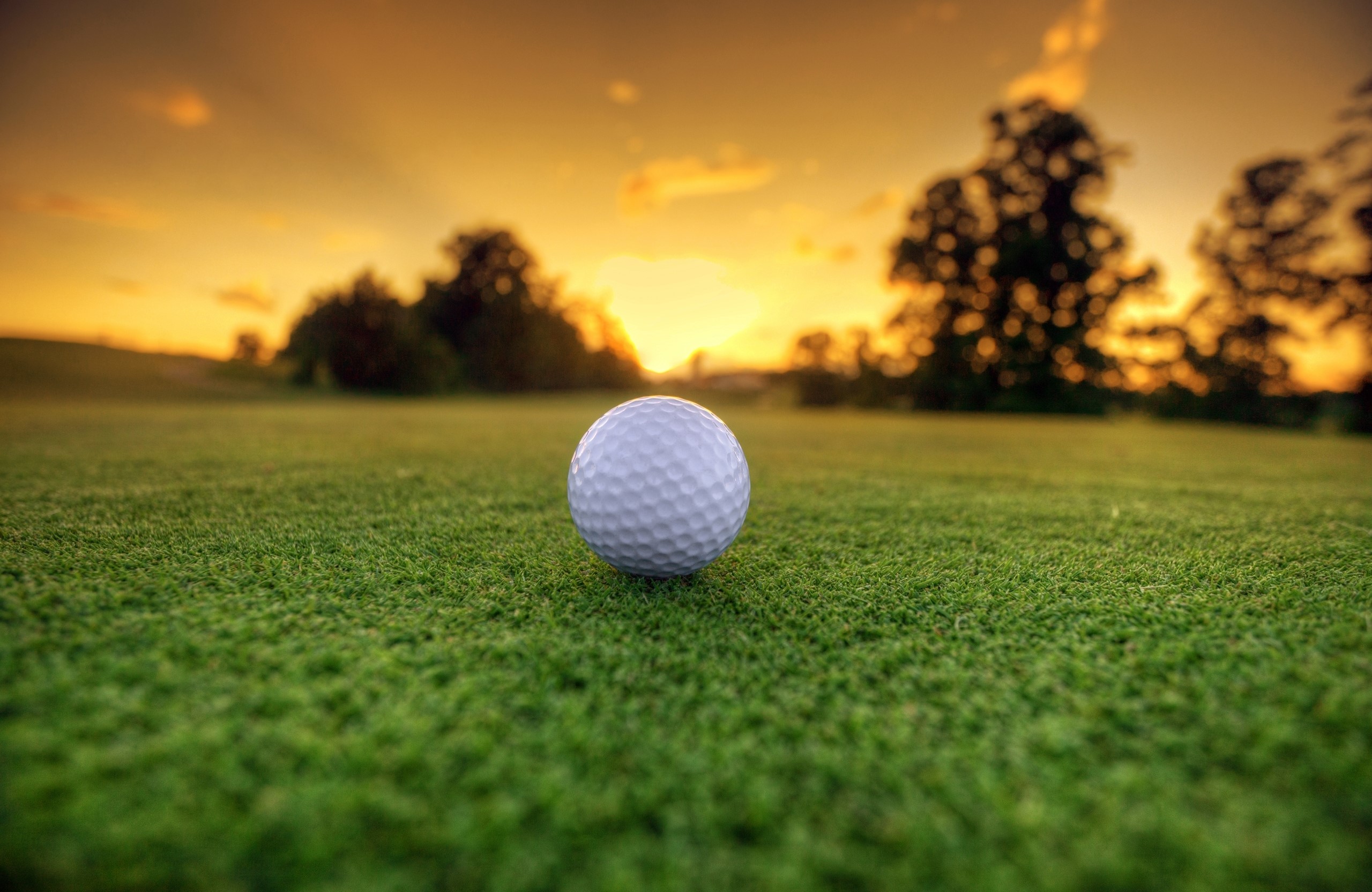Golf ball on a golf course at sunset HD Wallpaper