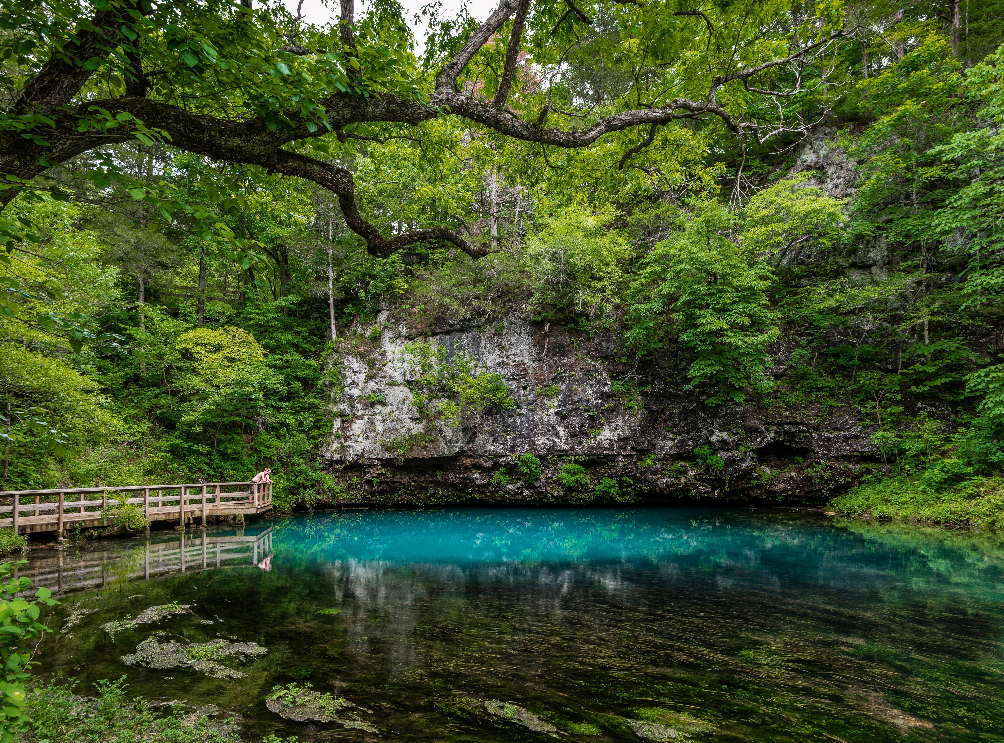 Blue Hole Spring in Missouri surrounded by trees HD Wallpaper