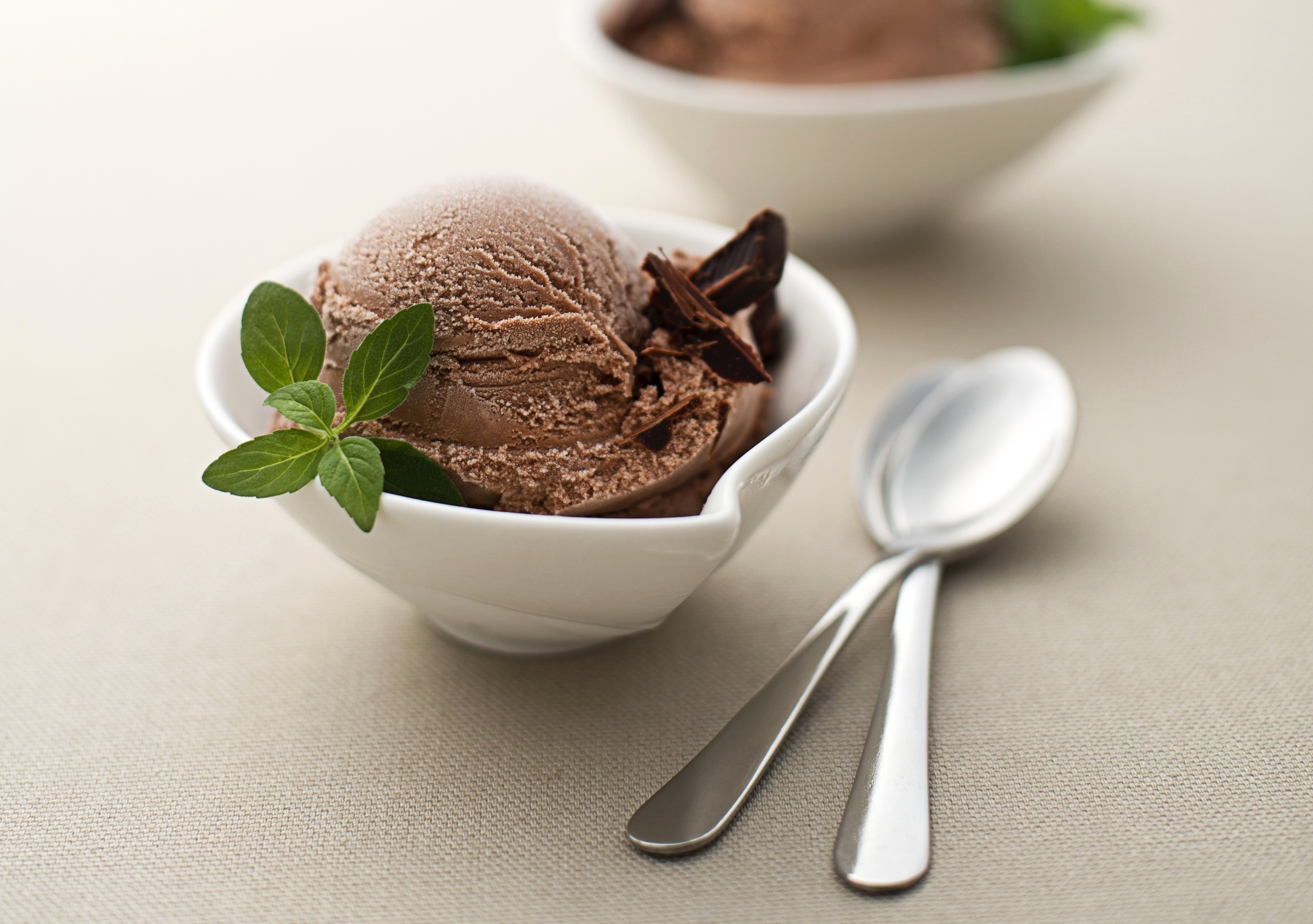 Chocolate ice cream with mint and chocolate shavings HD Wallpaper