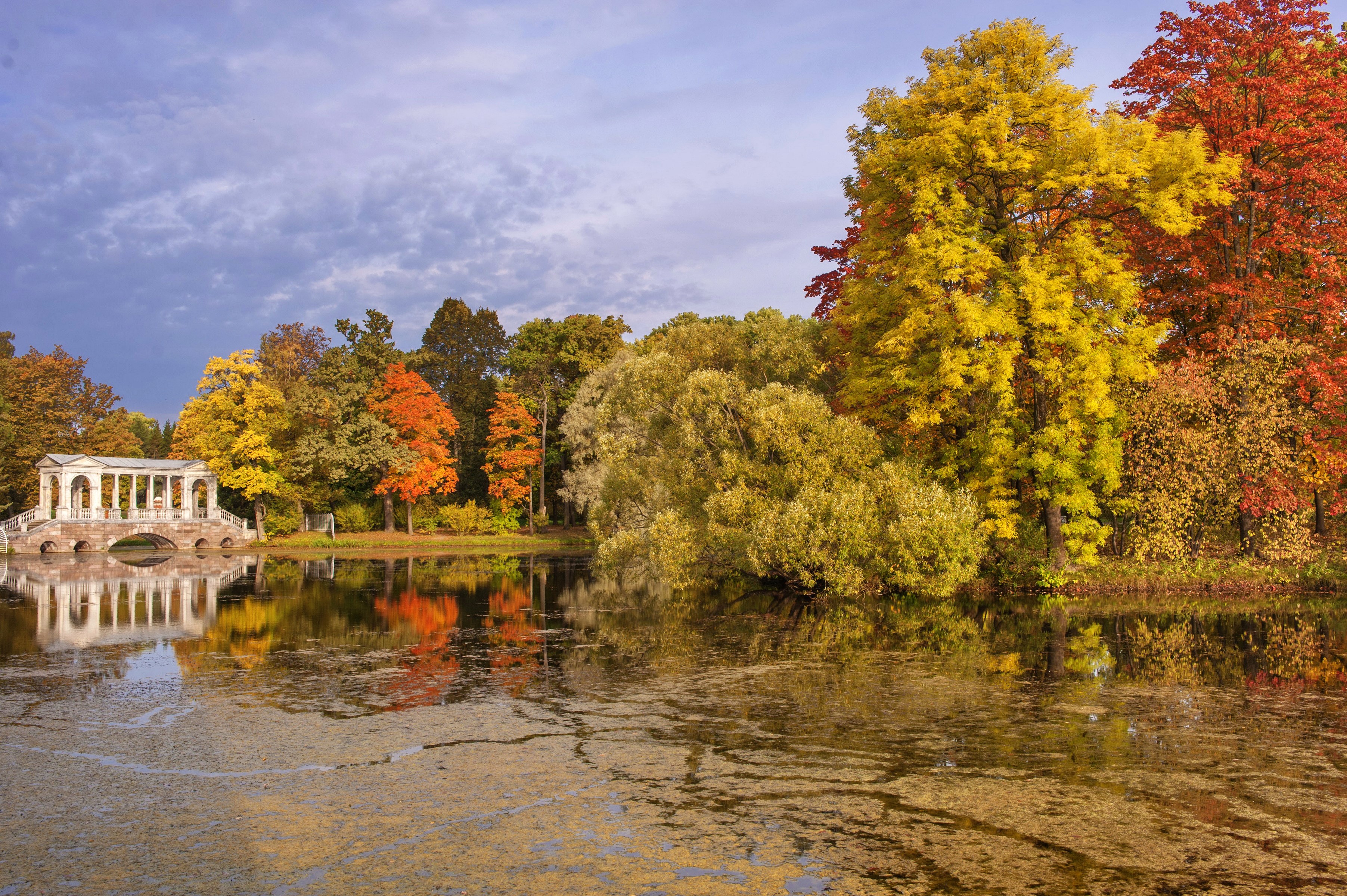 Marble Bridge and Autumn Trees in Pavlovsk Park, Russia HD Wallpaper