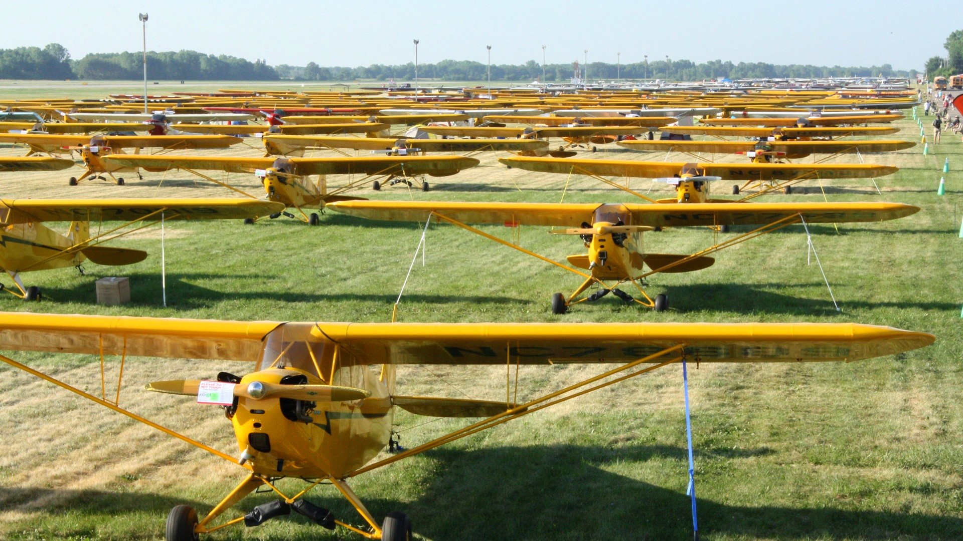 Many yellow airplanes parked on a grassy field HD Wallpaper