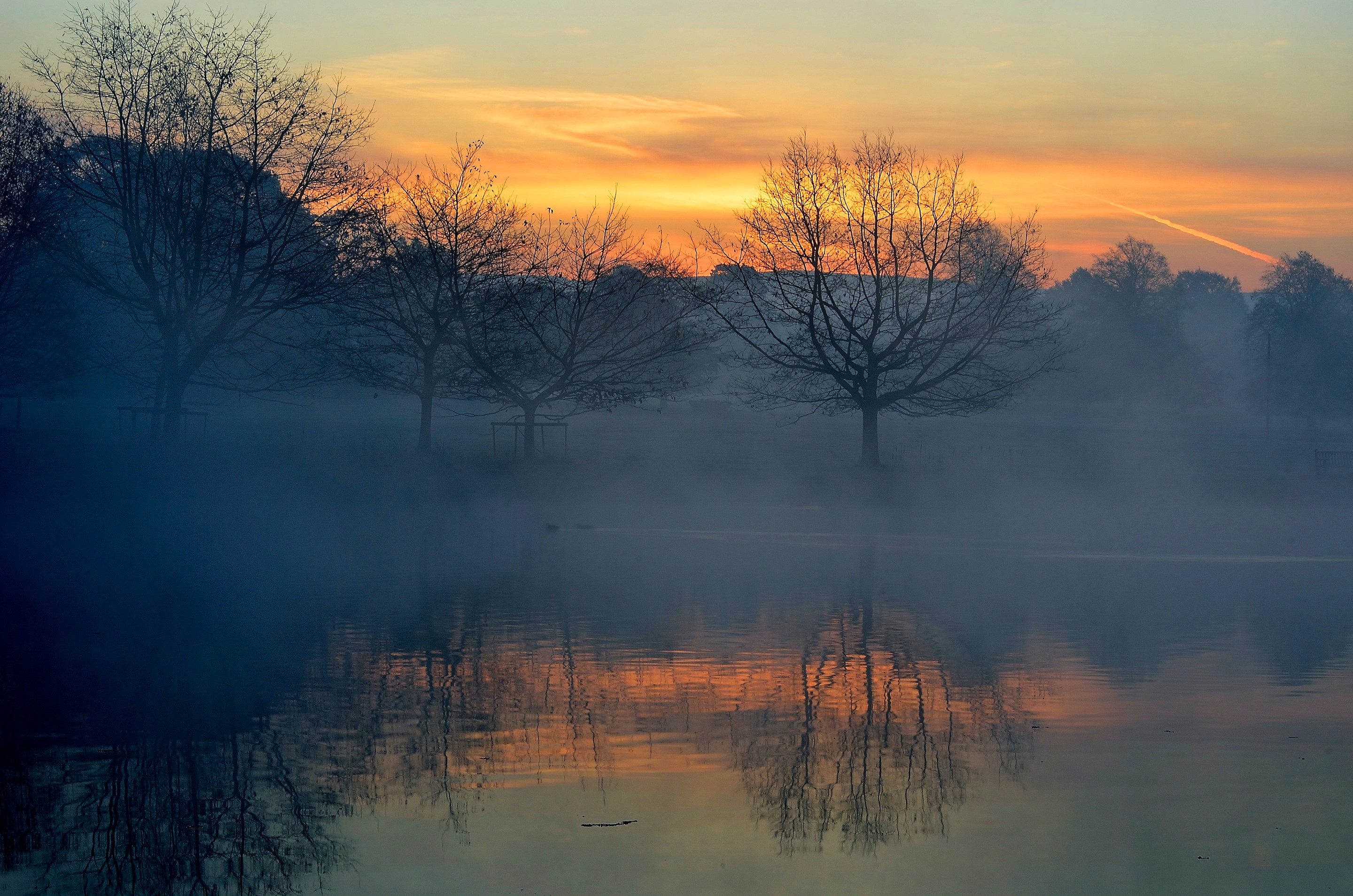Misty lake at sunrise with bare trees HD Wallpaper