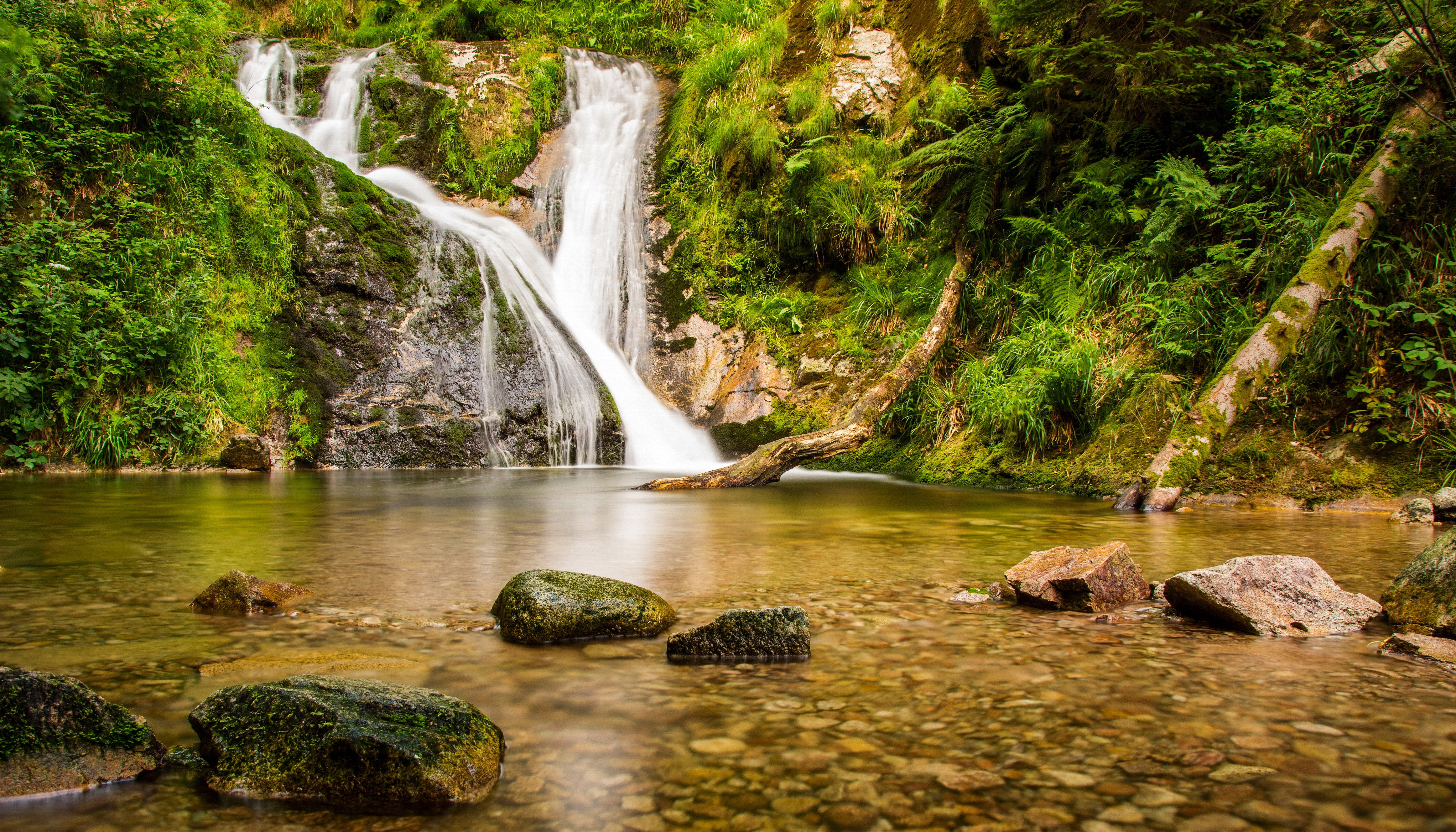 Waterfall cascading into a rocky stream surrounded by greenery HD Wallpaper