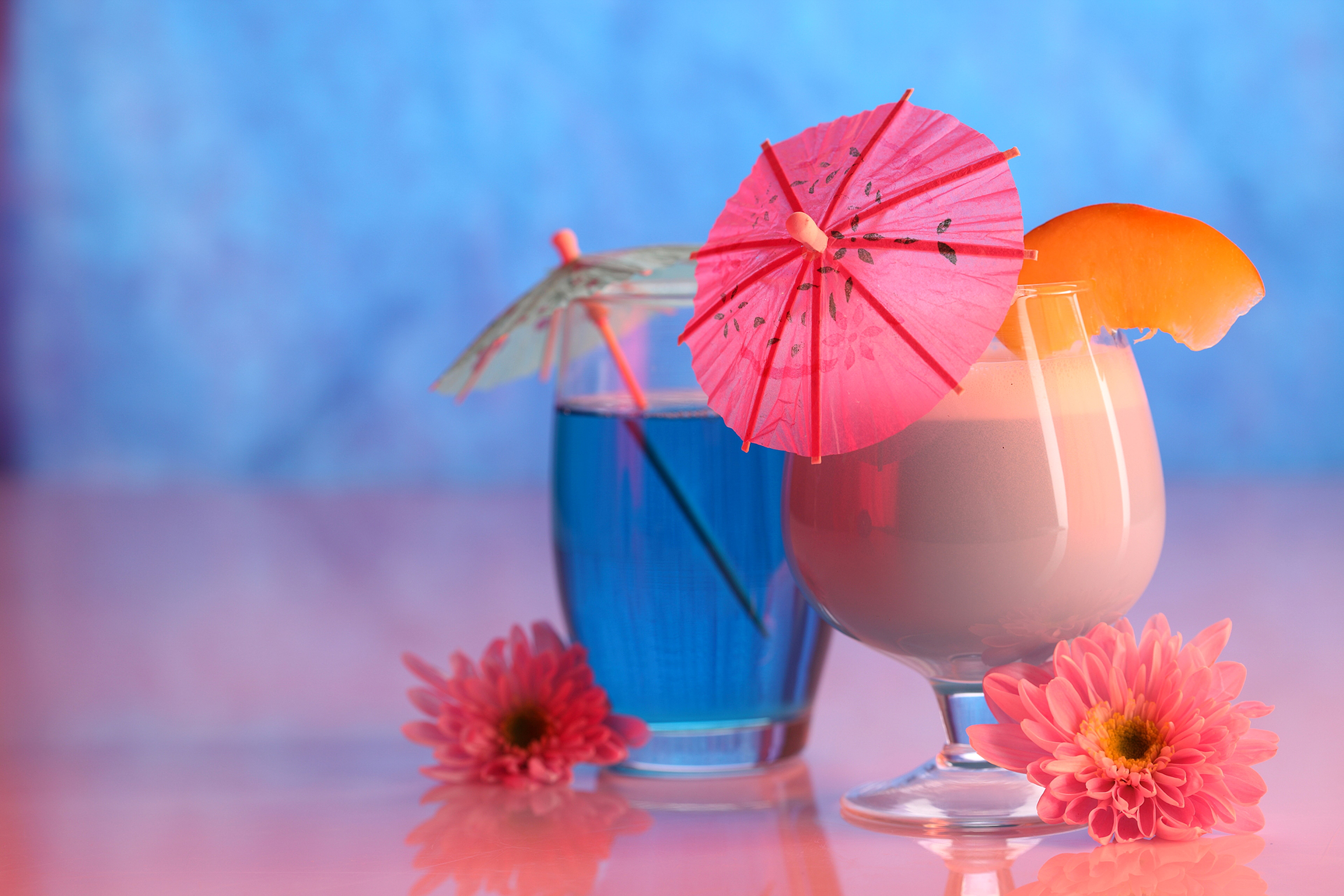 Two cocktails with umbrellas and flowers HD Wallpaper