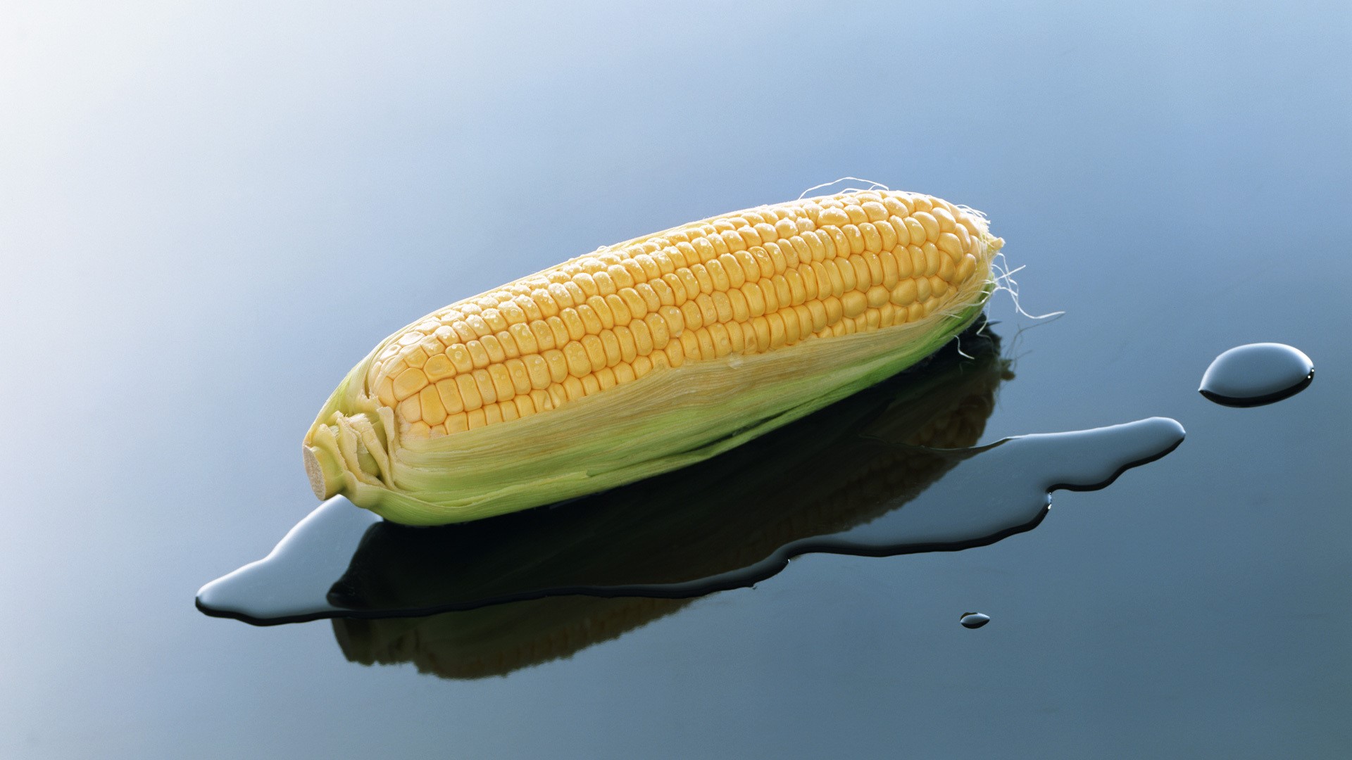 Corn on a reflective surface with water droplets HD Wallpaper