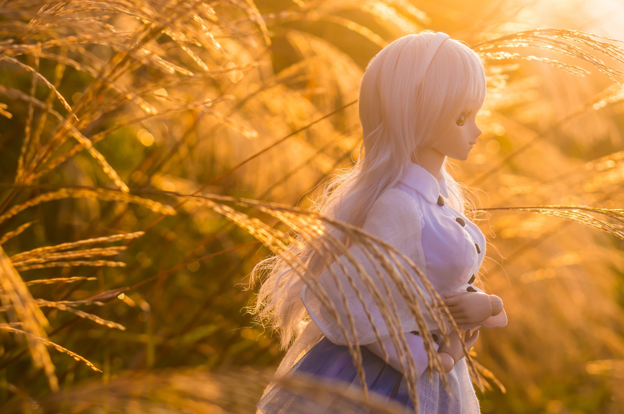 Doll with blonde hair in tall grass at sunset HD Wallpaper