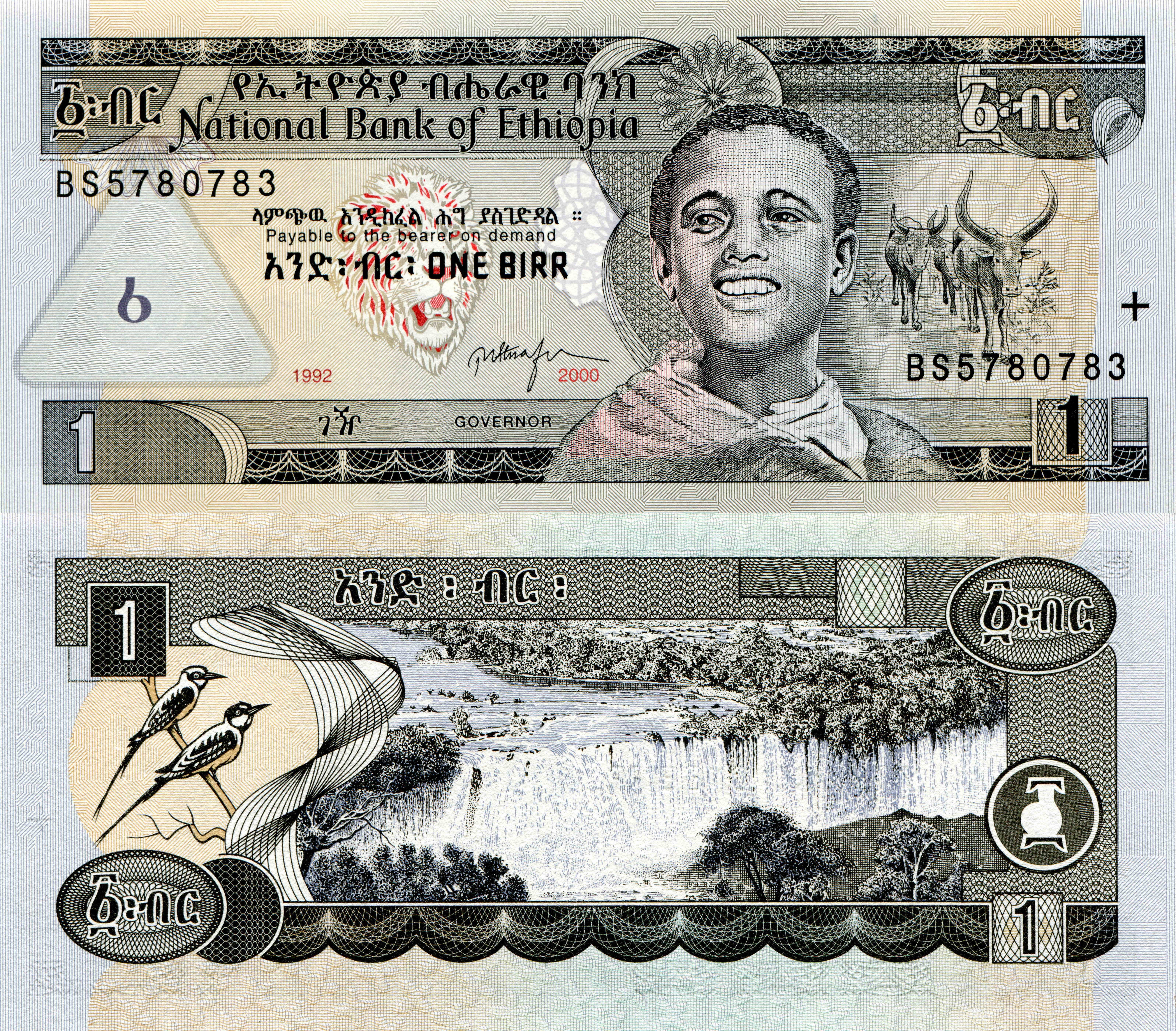 Ethiopian 1 Birr Banknote 4K HD Wallpaper
