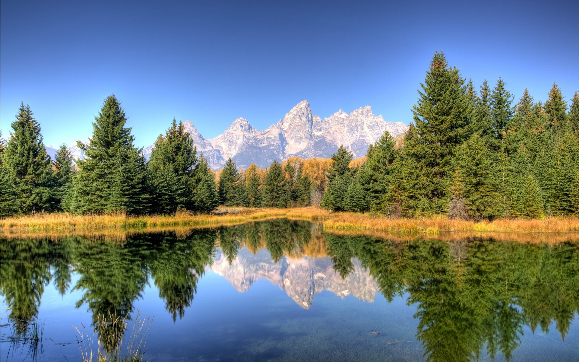Reflection of mountains and trees in a lake HD Wallpaper