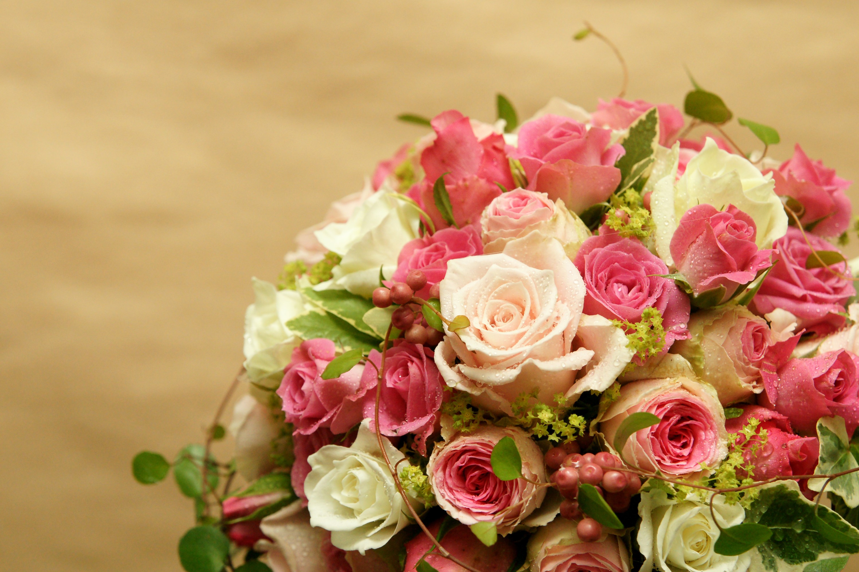 Bouquet of pink and white roses with water droplets HD Wallpaper
