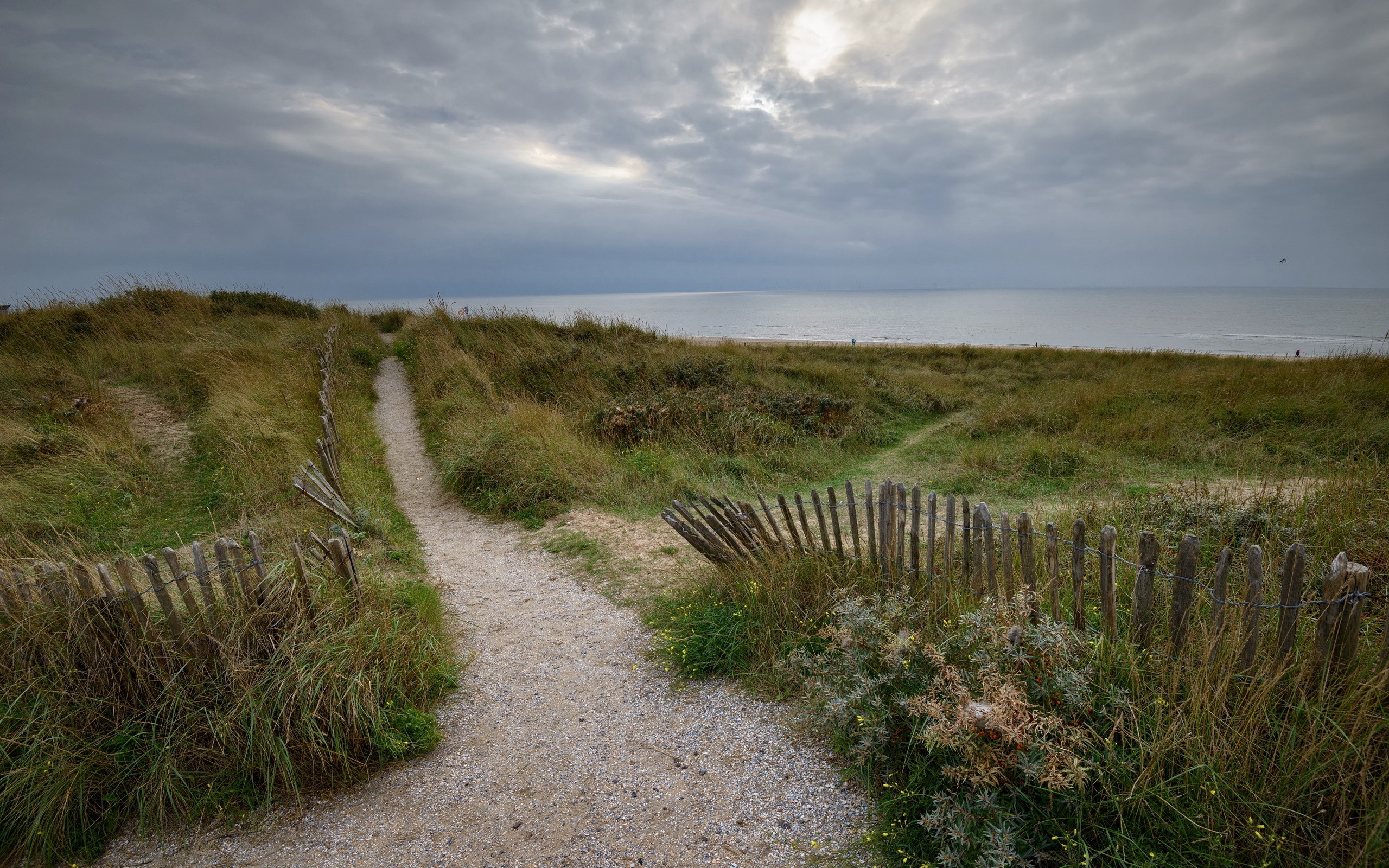 Path through grassy dunes to the sea HD Wallpaper