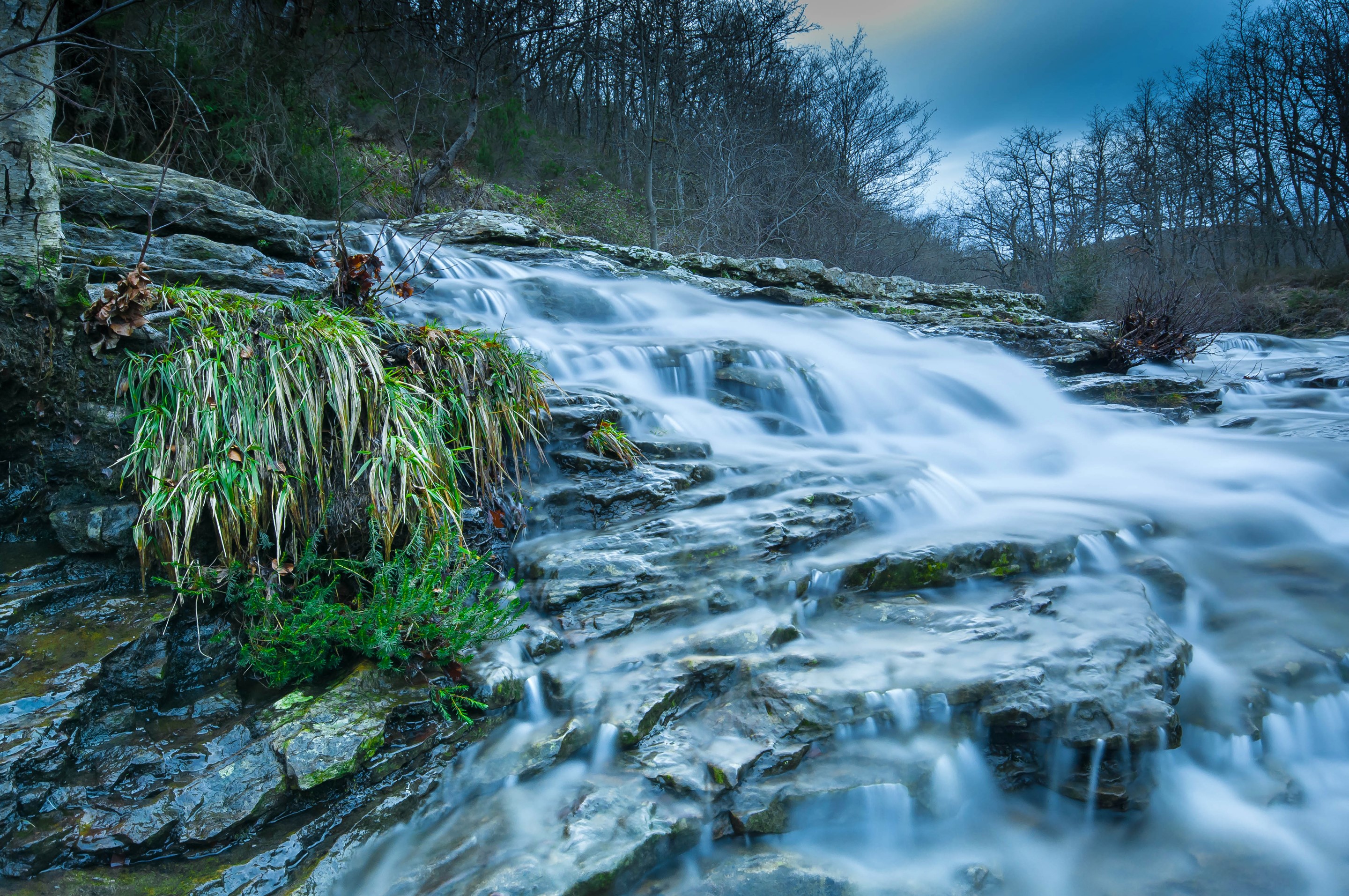 Water flowing over rocks in a forest HD Wallpaper